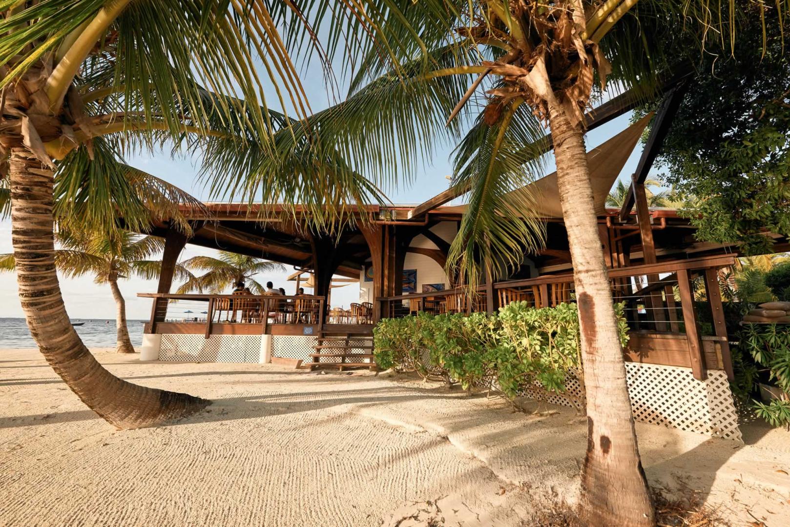 Ray Caye image