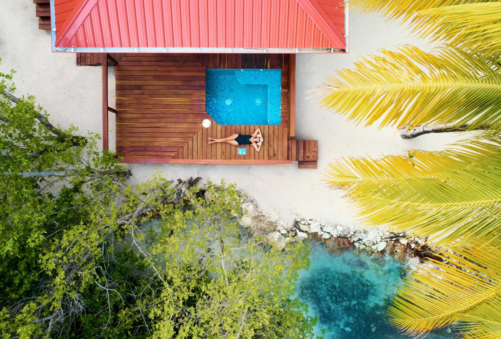 Ray Caye image