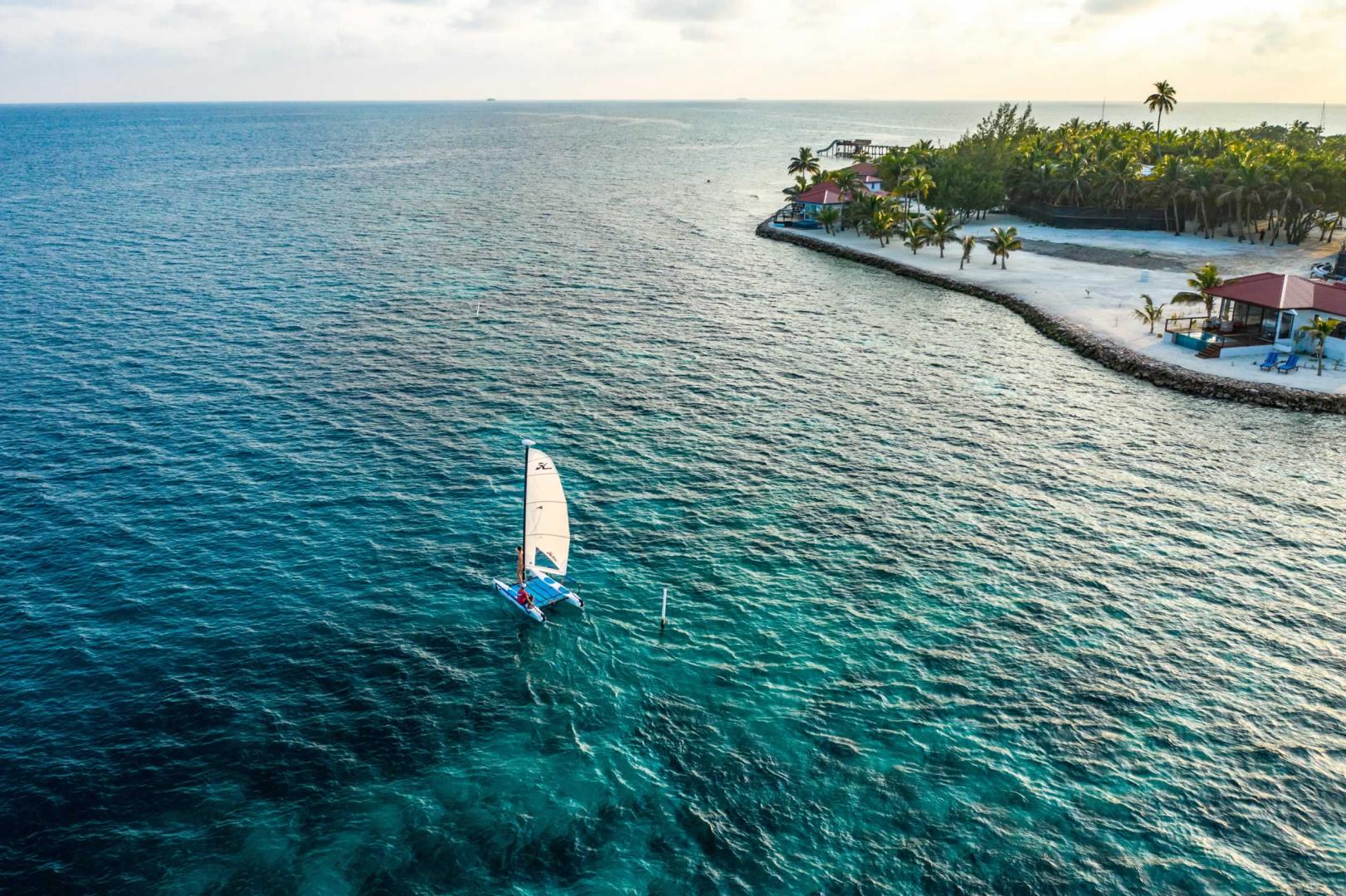 Ray Caye image