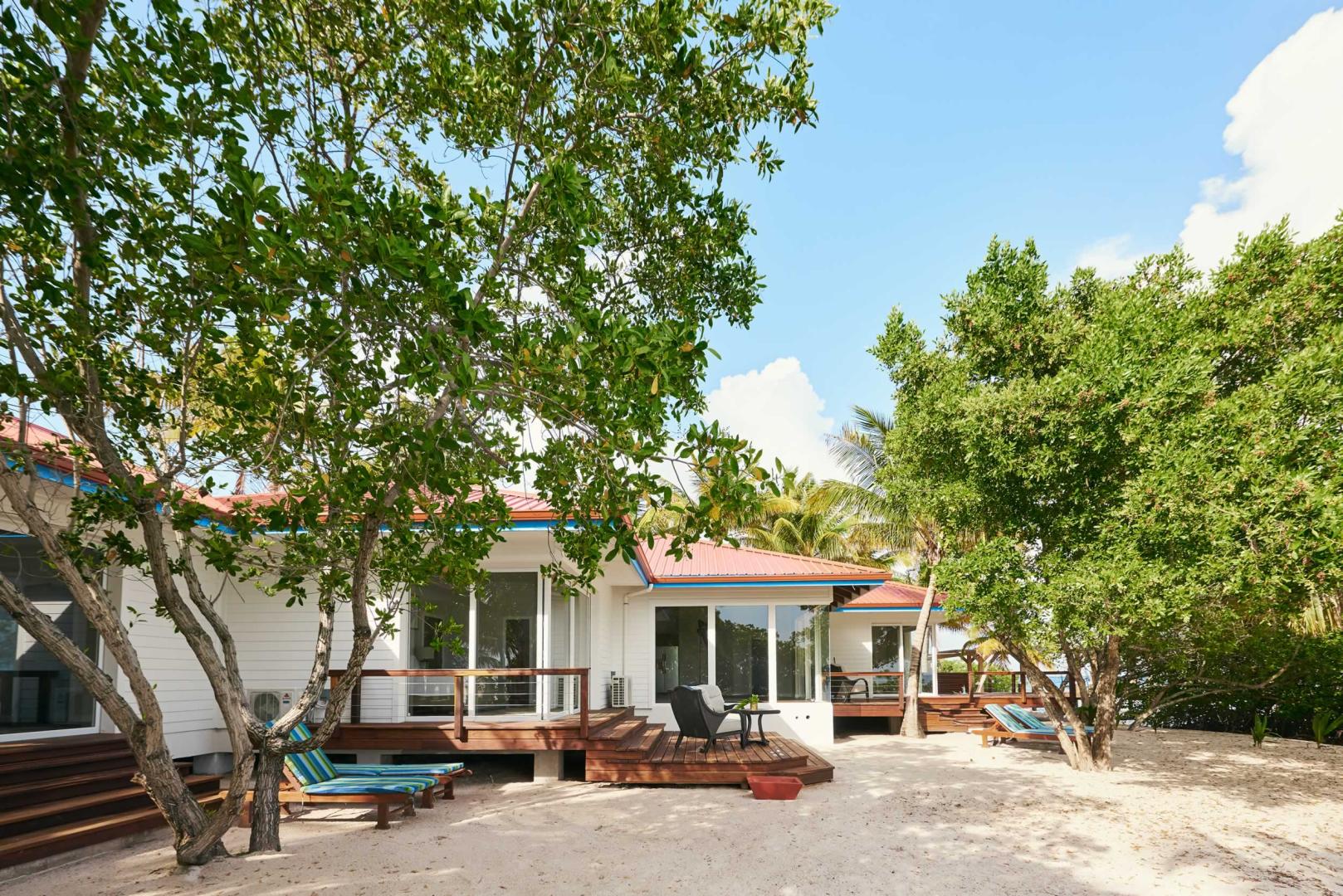 Ray Caye image