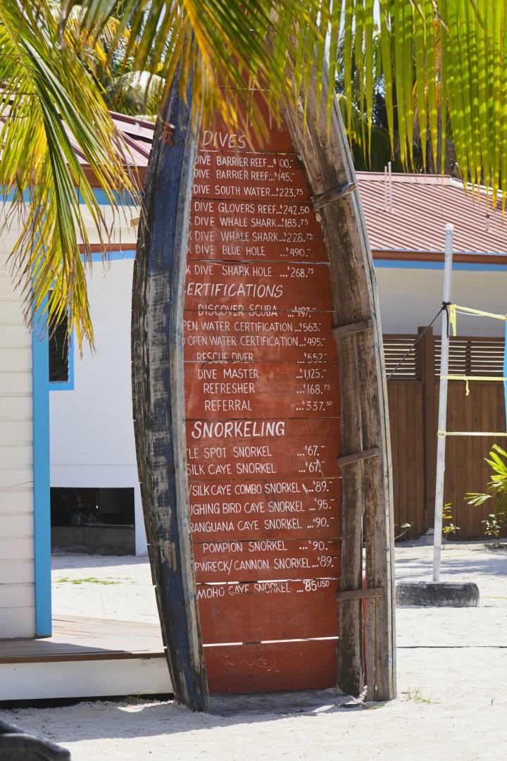 Ray Caye image