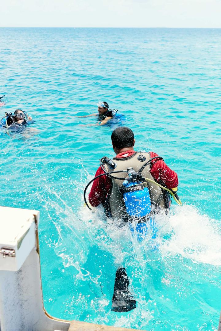 Ray Caye image
