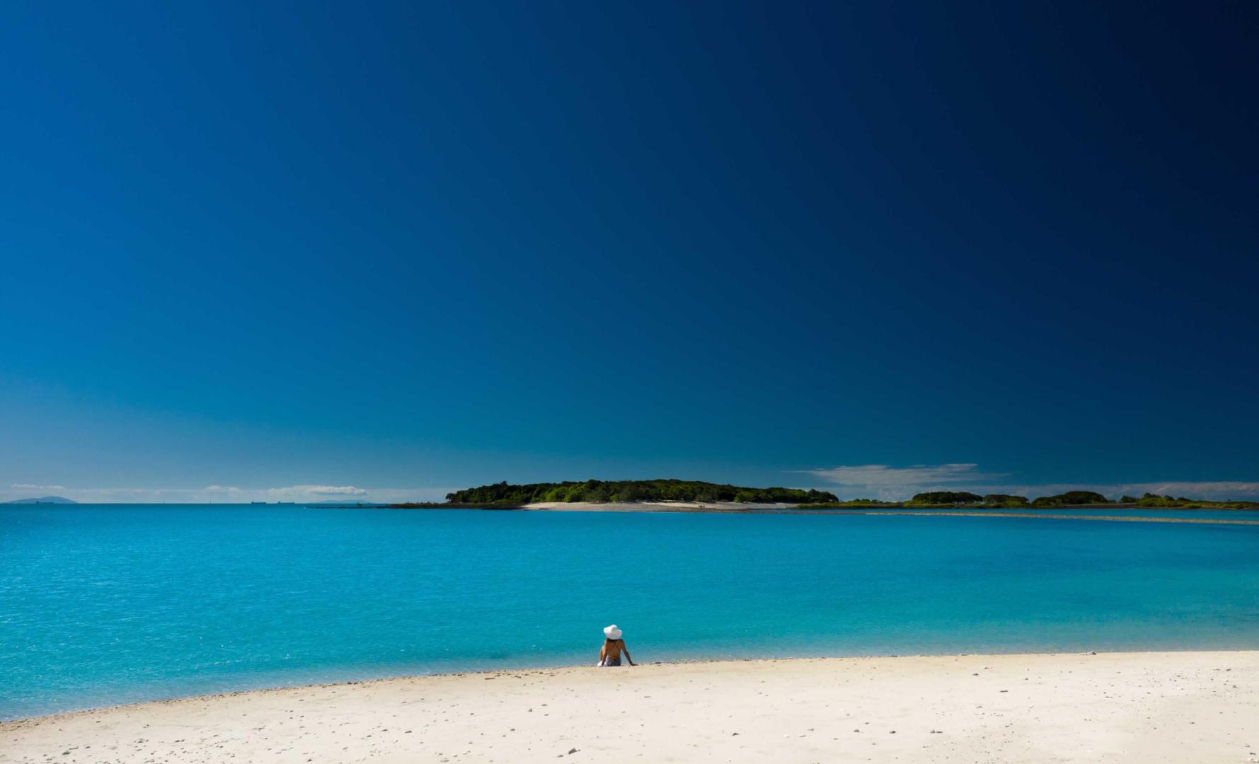 Victor Island Escape image