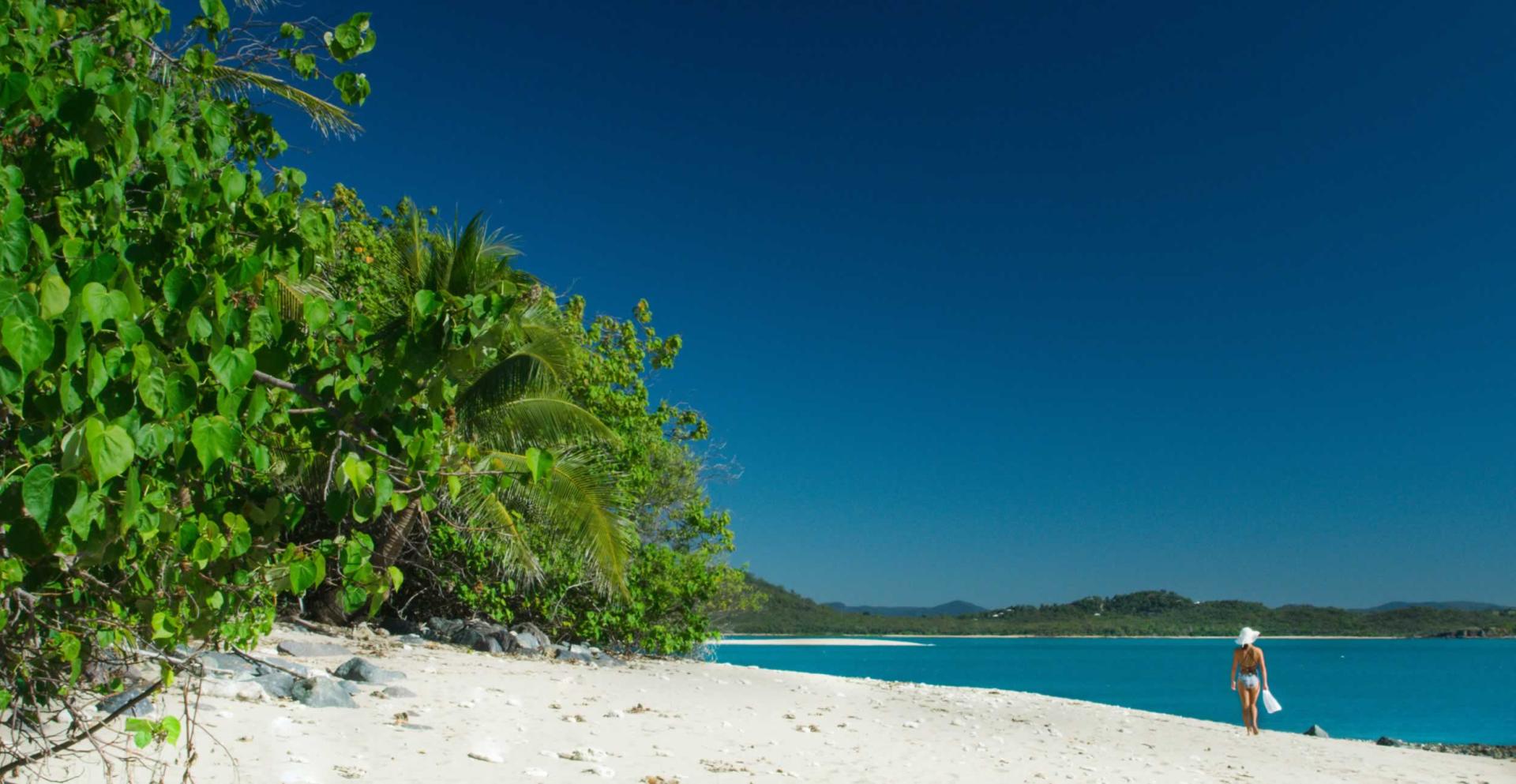 Victor Island Escape image