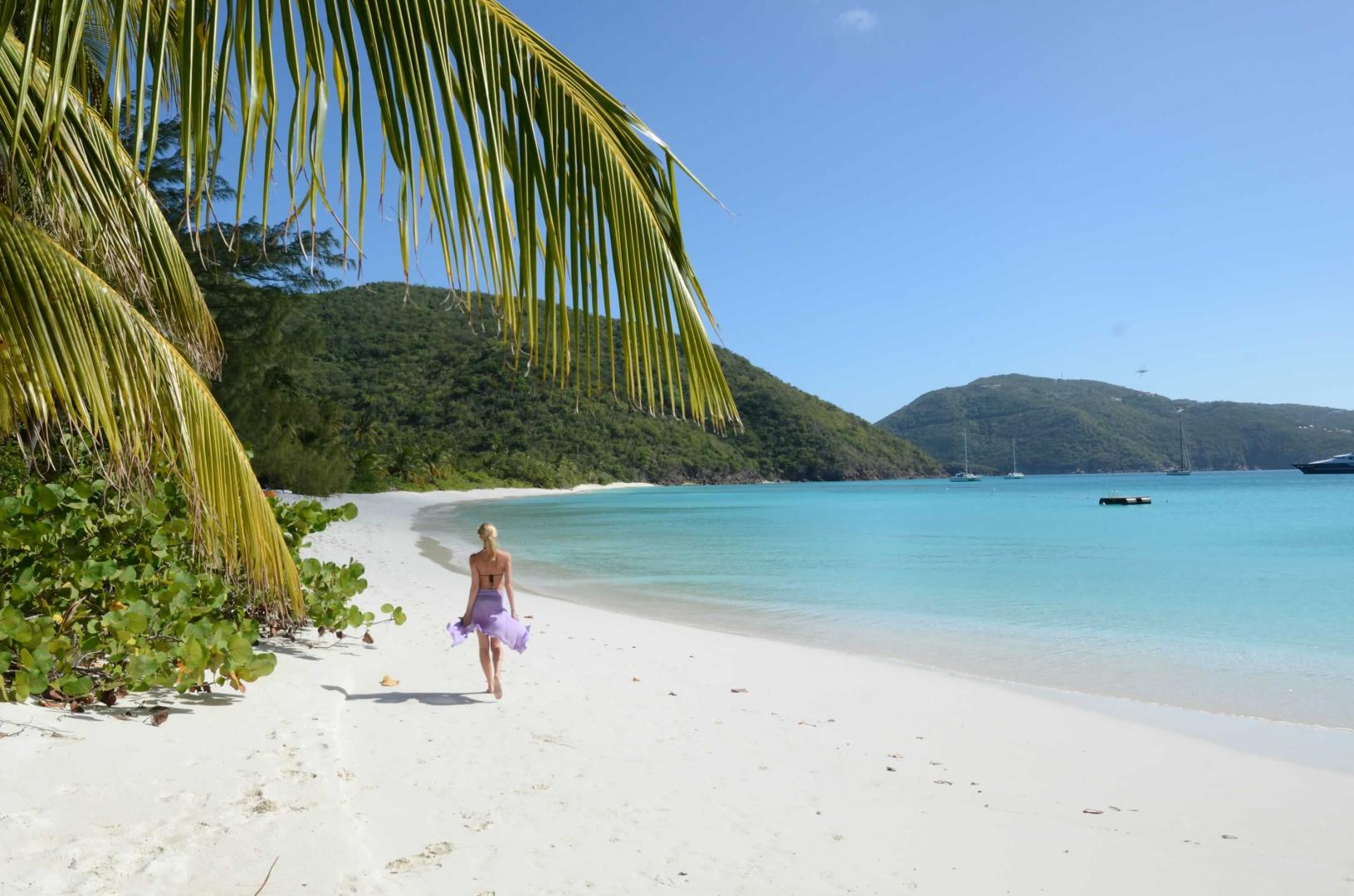 Guana Island image