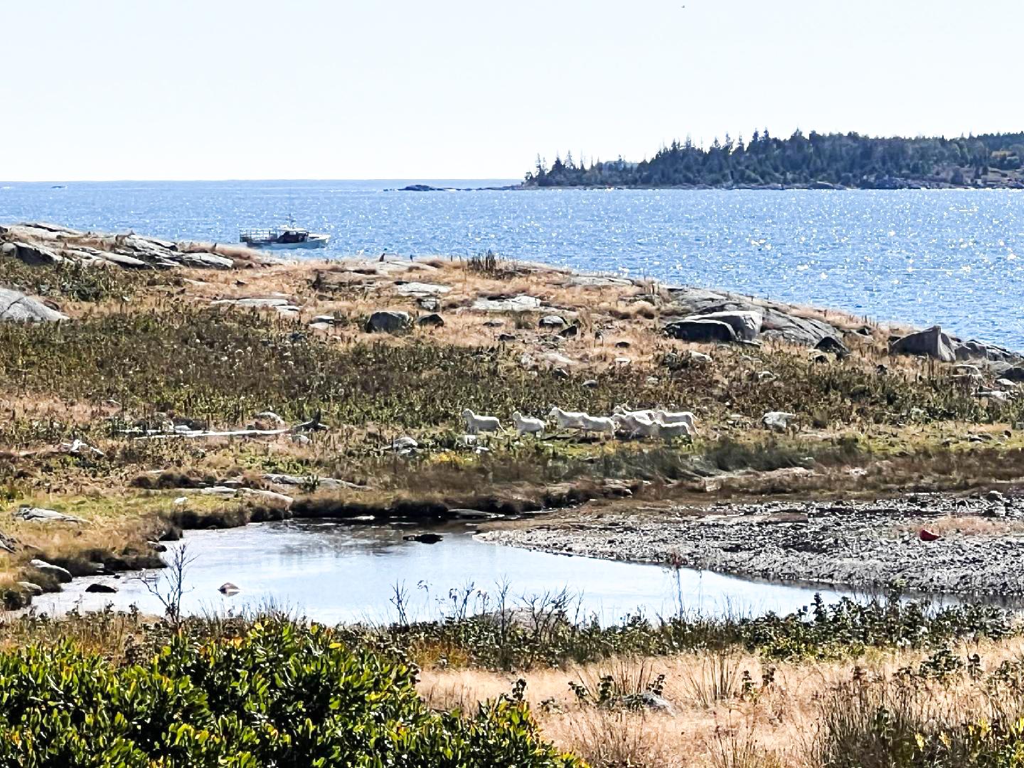 Fog Island – Private island in Maine, United States