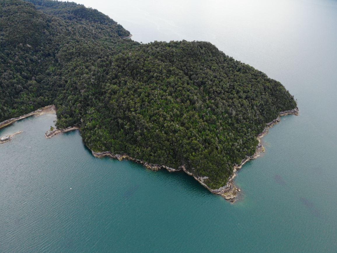 Isla Guardiamarina Zanartu and Islotes San Andres image