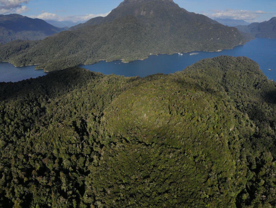 Isla Guardiamarina Zanartu and Islotes San Andres image