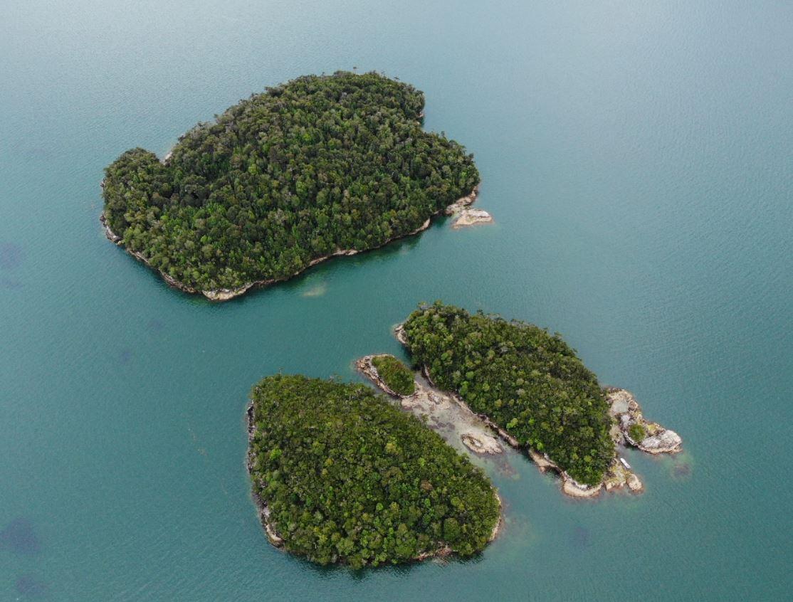 Isla Guardiamarina Zanartu and Islotes San Andres image