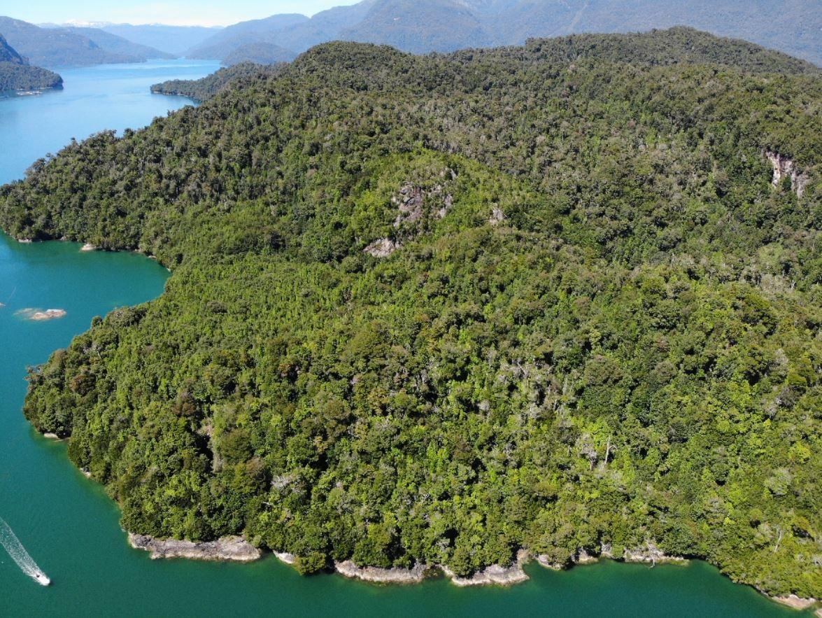 Isla Guardiamarina Zanartu and Islotes San Andres image