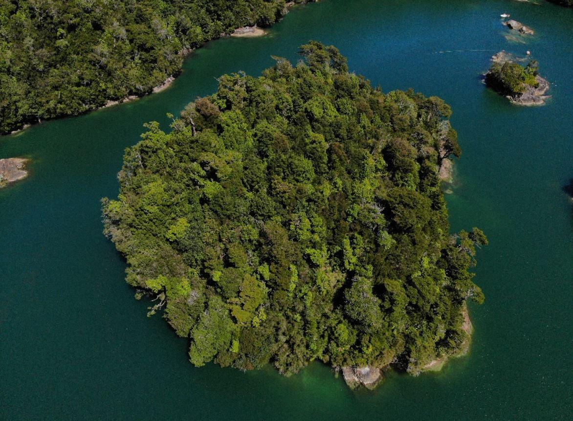 Isla Guardiamarina Zanartu and Islotes San Andres image