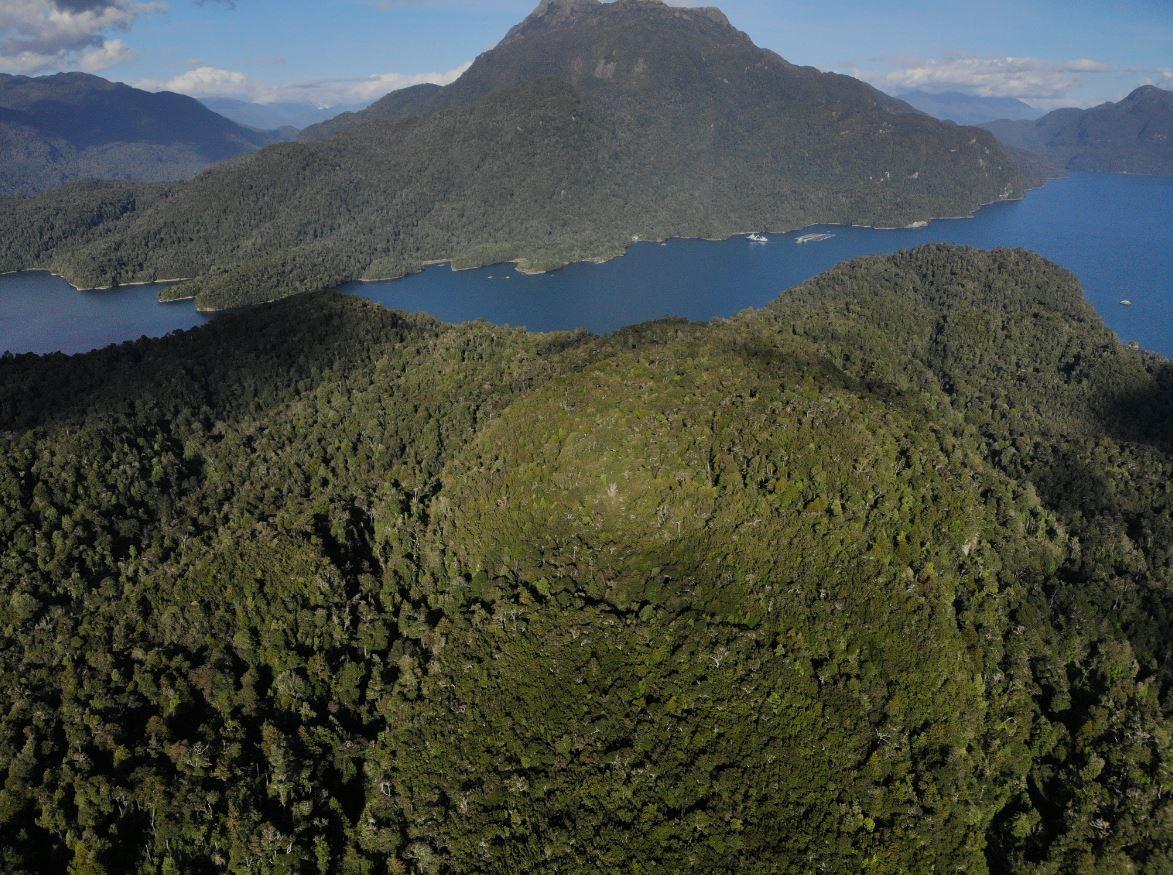 Isla Guardiamarina Zanartu and Islotes San Andres image