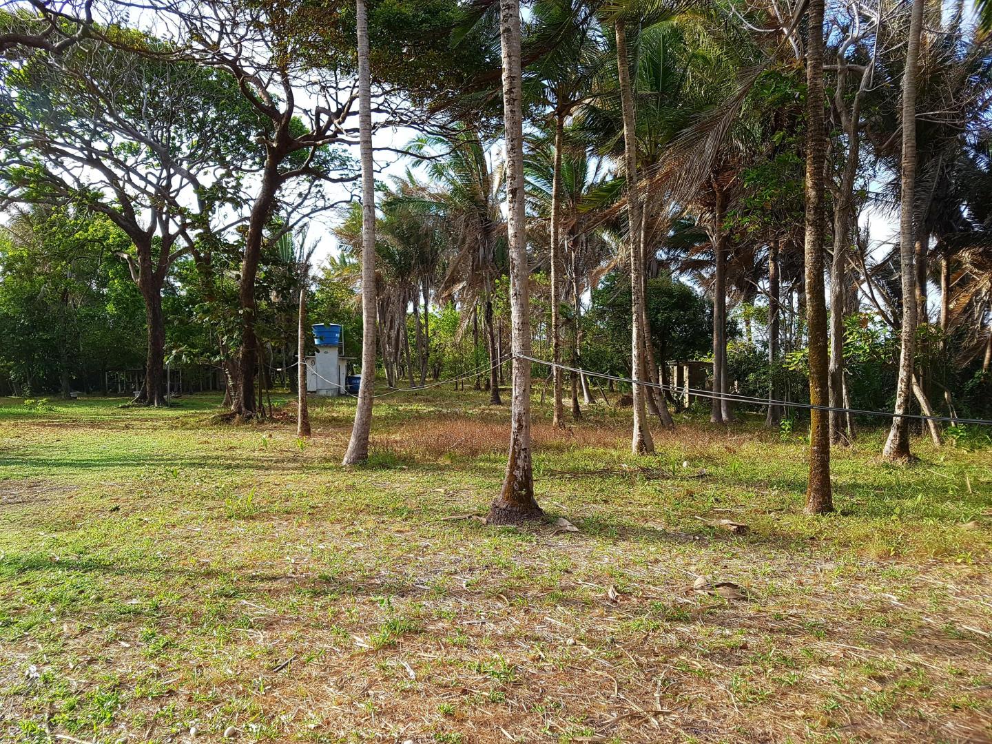 Sao Luis Island Pair image