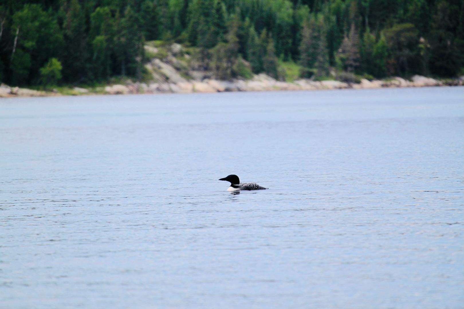 Beer Lake Estate Property image