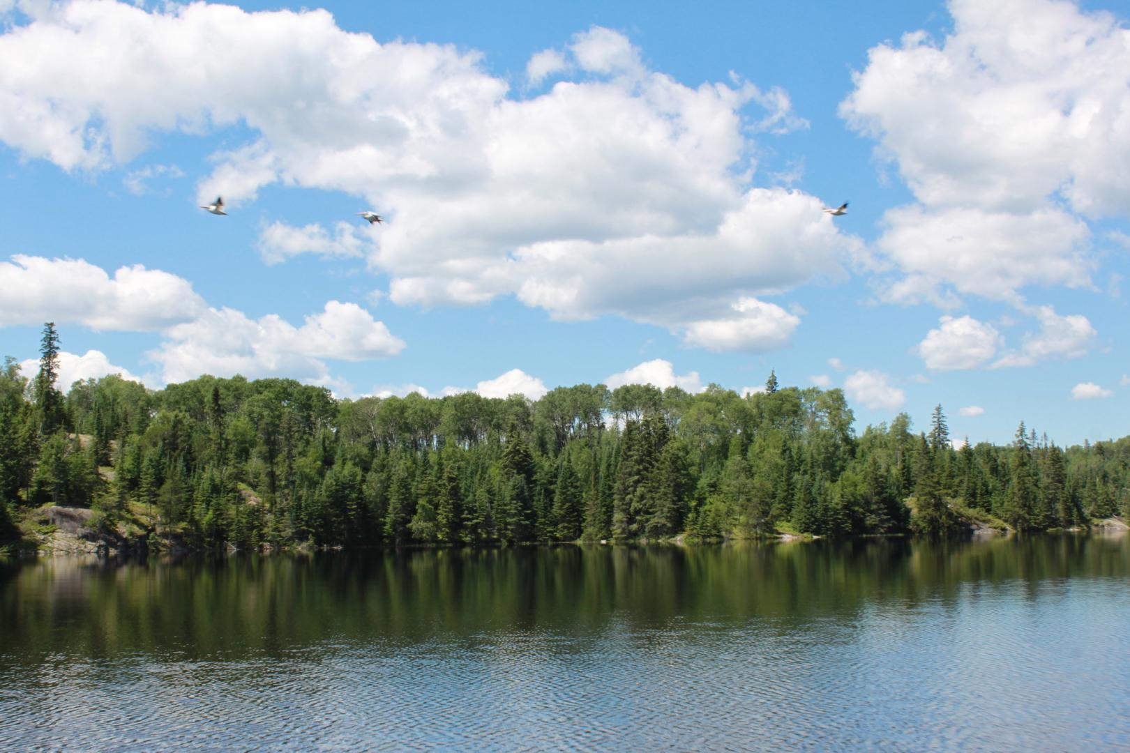 Beer Lake Estate Property image