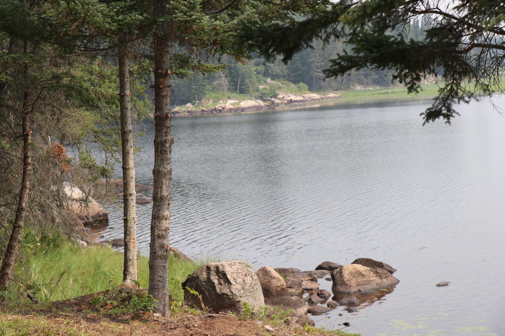 Beer Lake Estate Property image