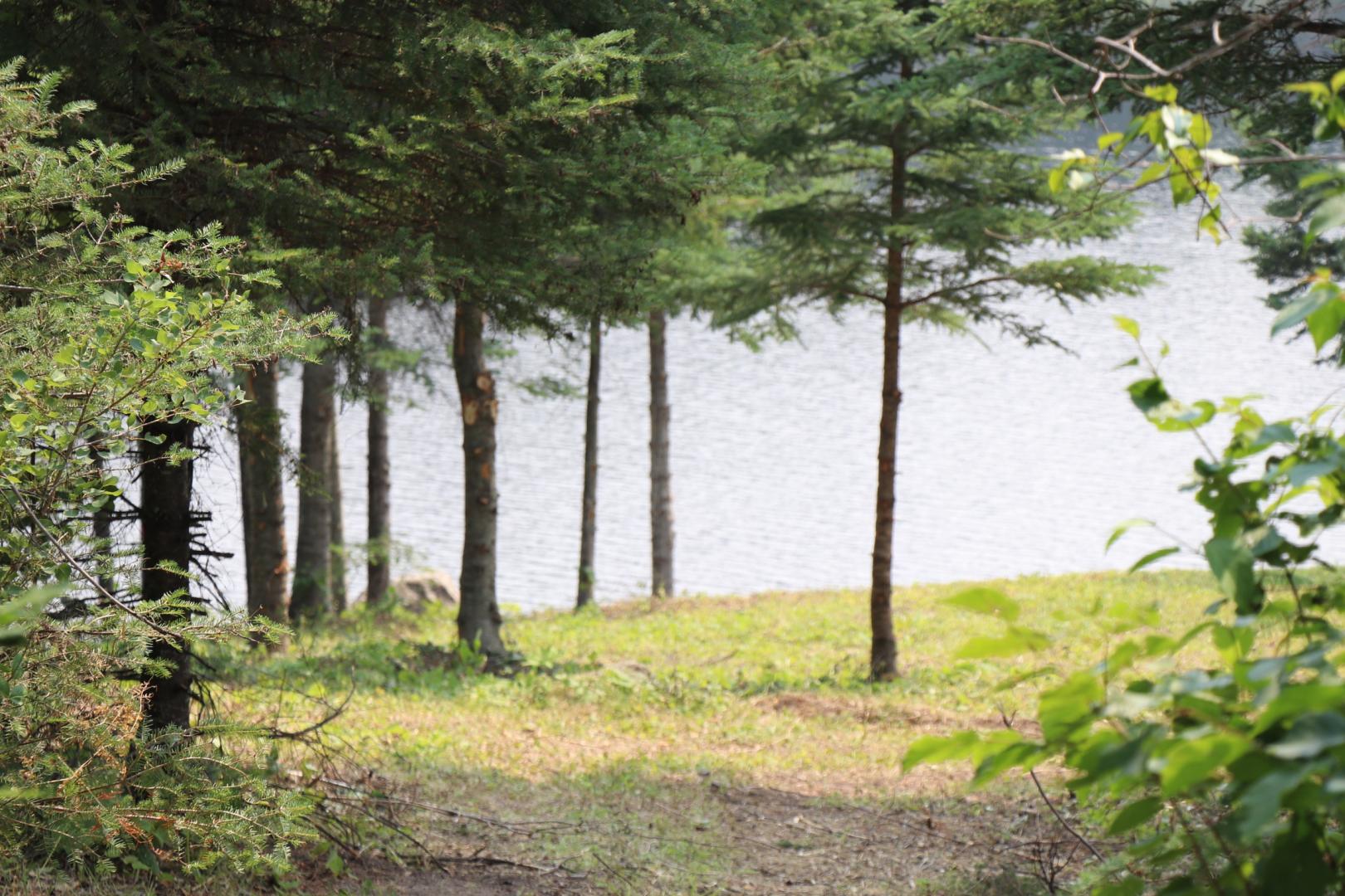 Beer Lake Estate Property image