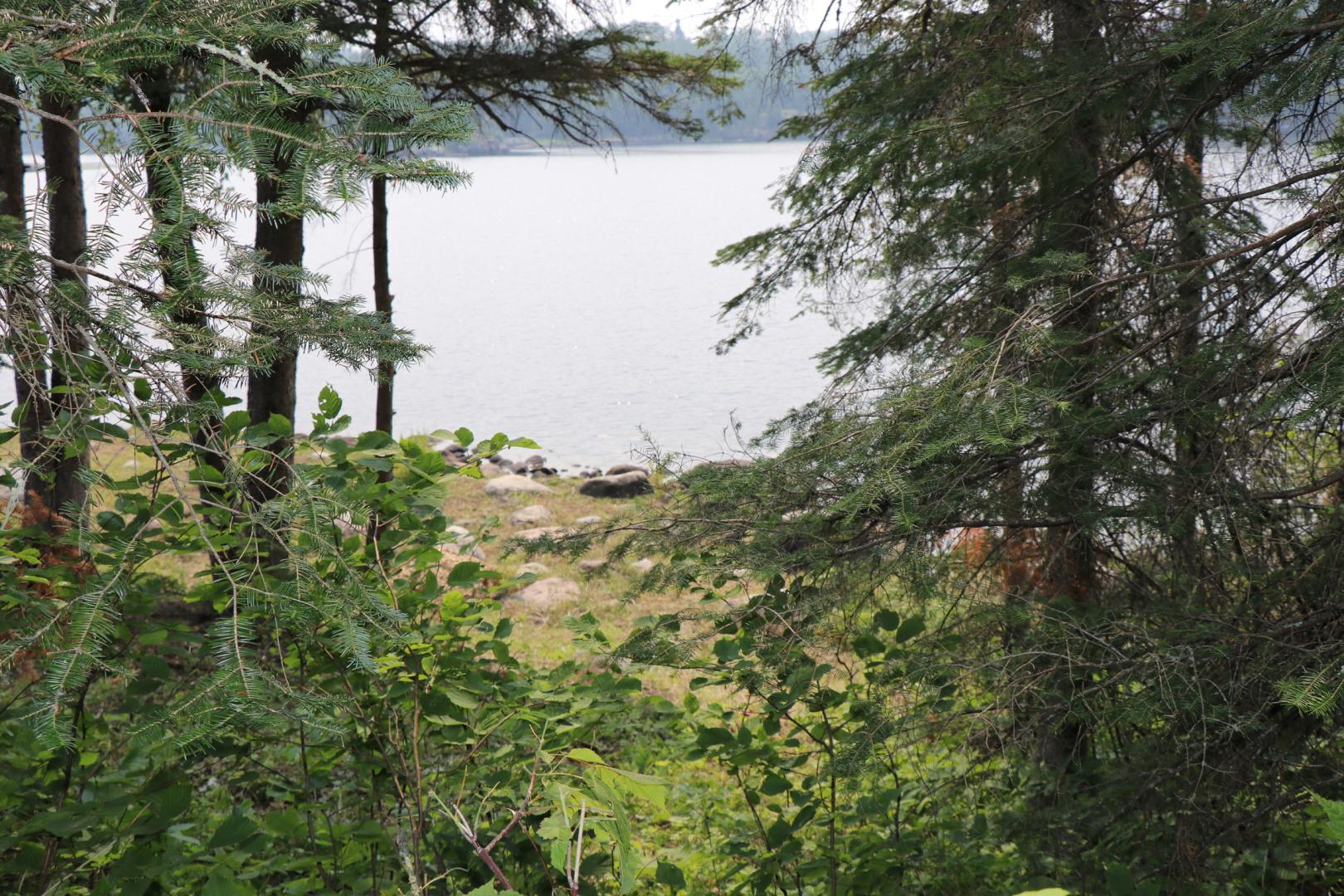 Beer Lake Estate Property image