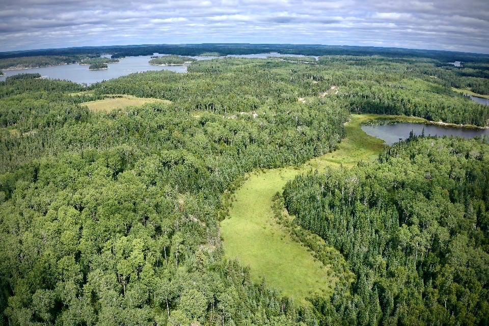 Beer Lake Estate Property image