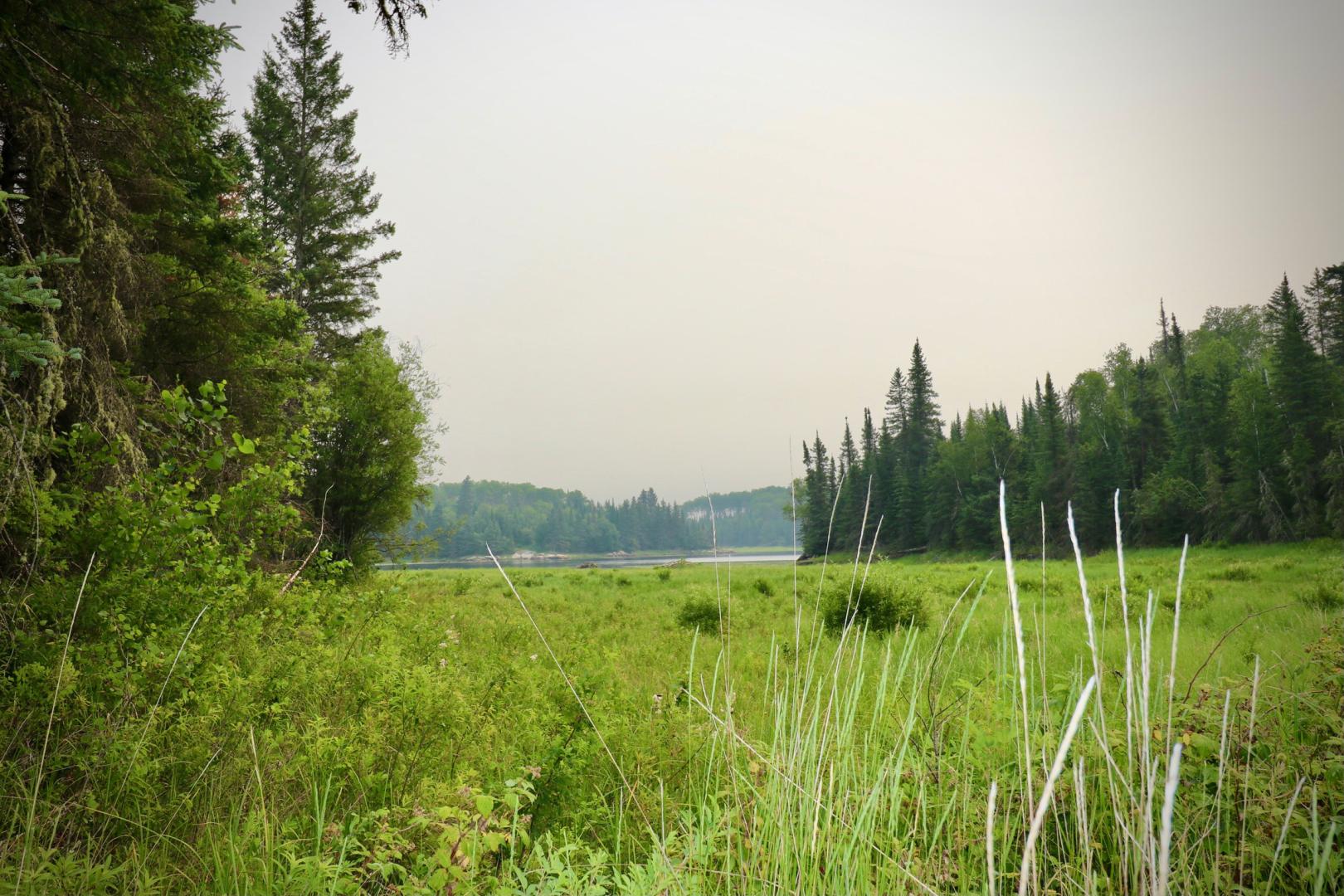 Beer Lake Estate Property image