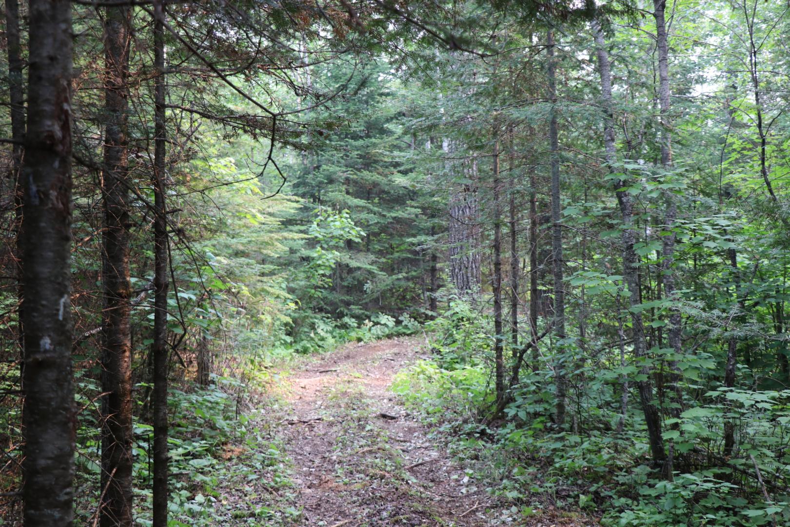 Beer Lake Estate Property image