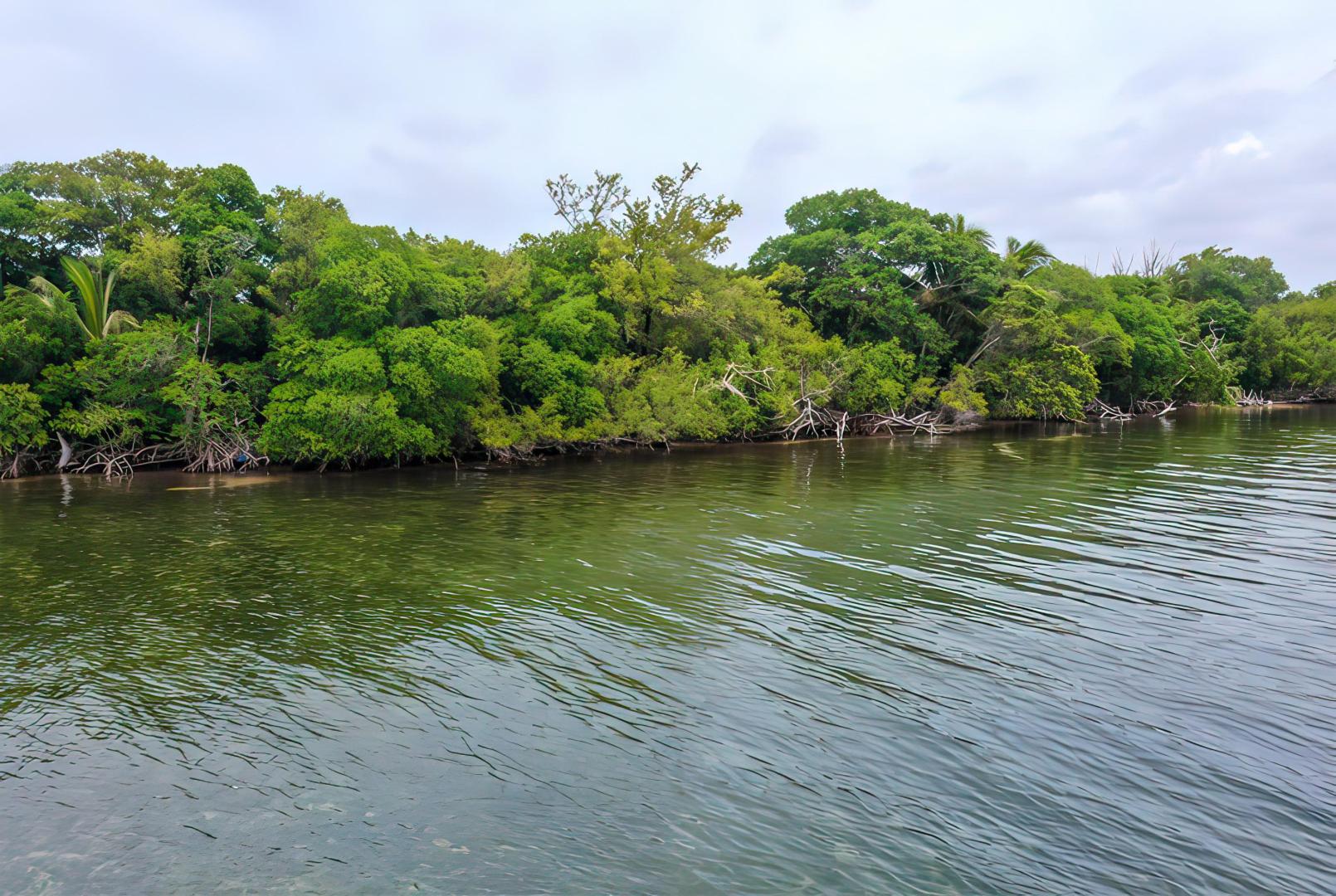 Turneffe Island West Parcel – Private island in Belize, Central America