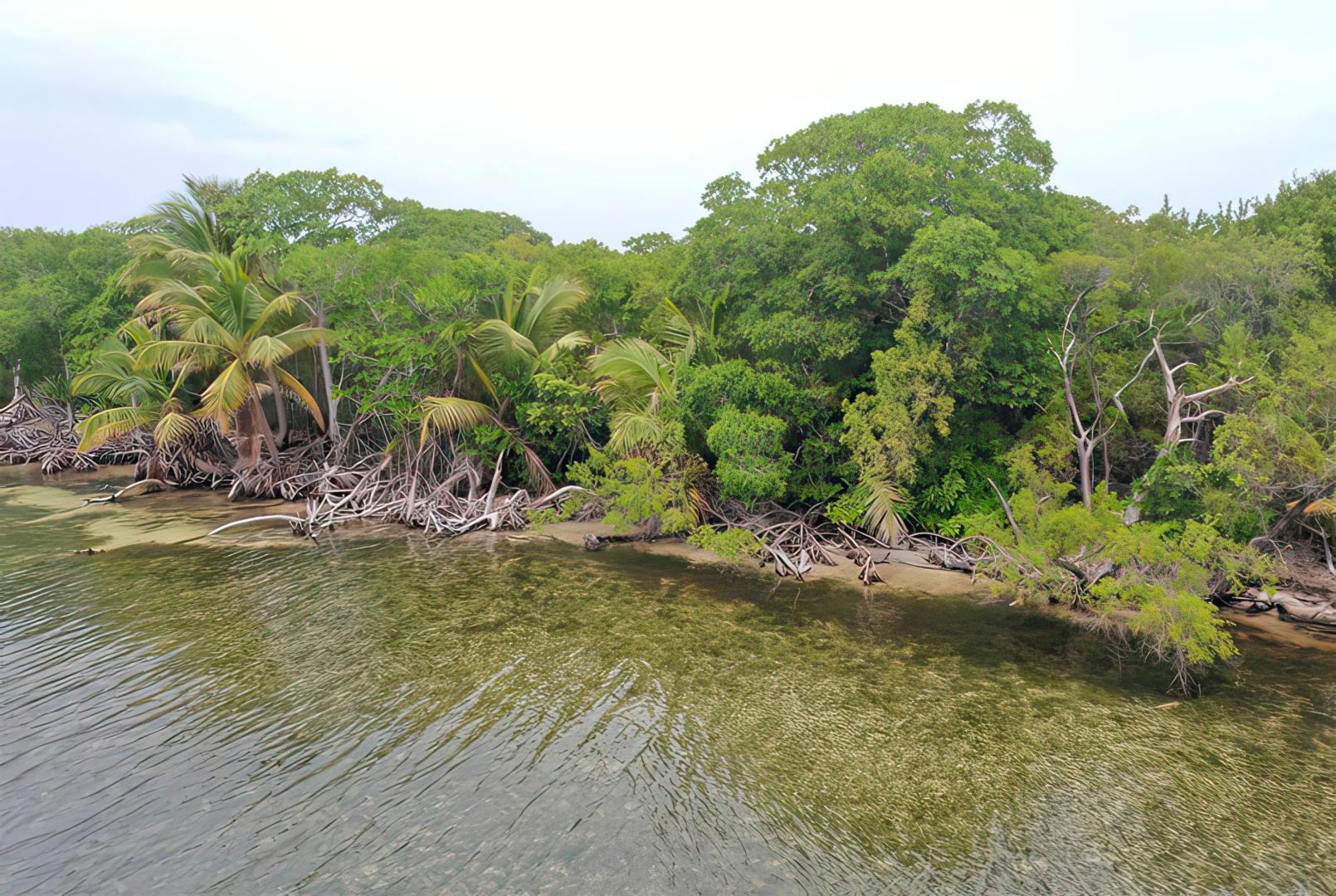 Turneffe Island West Parcel – Private island in Belize, Central America