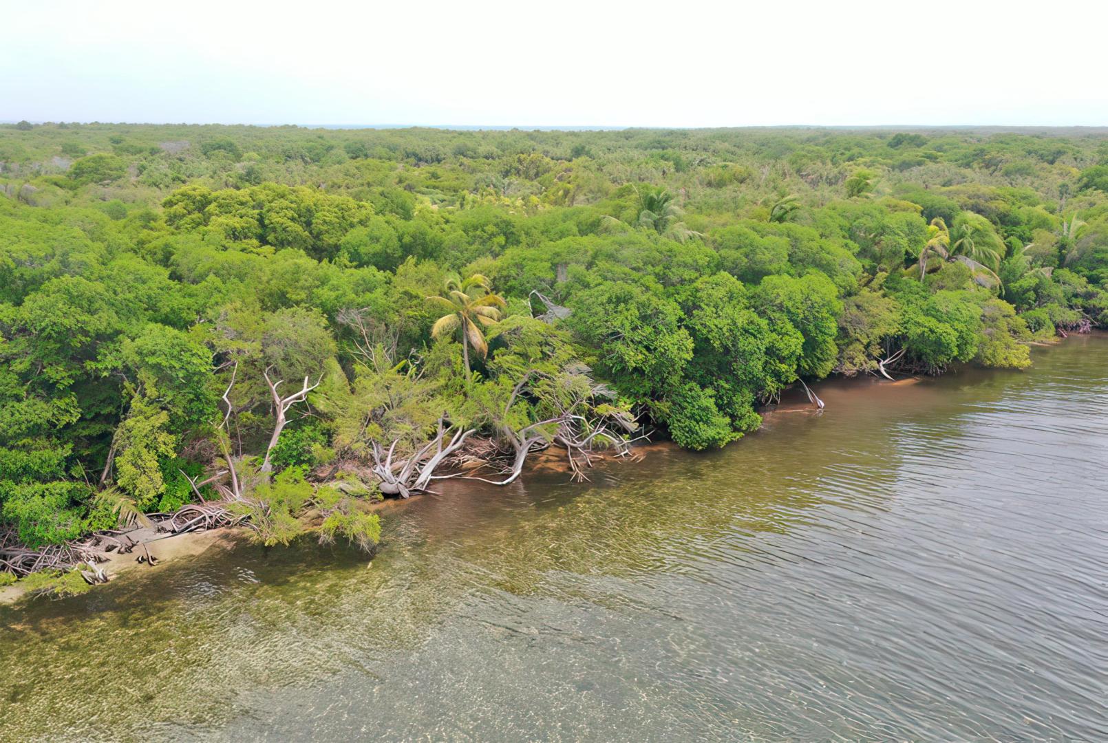Turneffe Island West Parcel – Private island in Belize, Central America