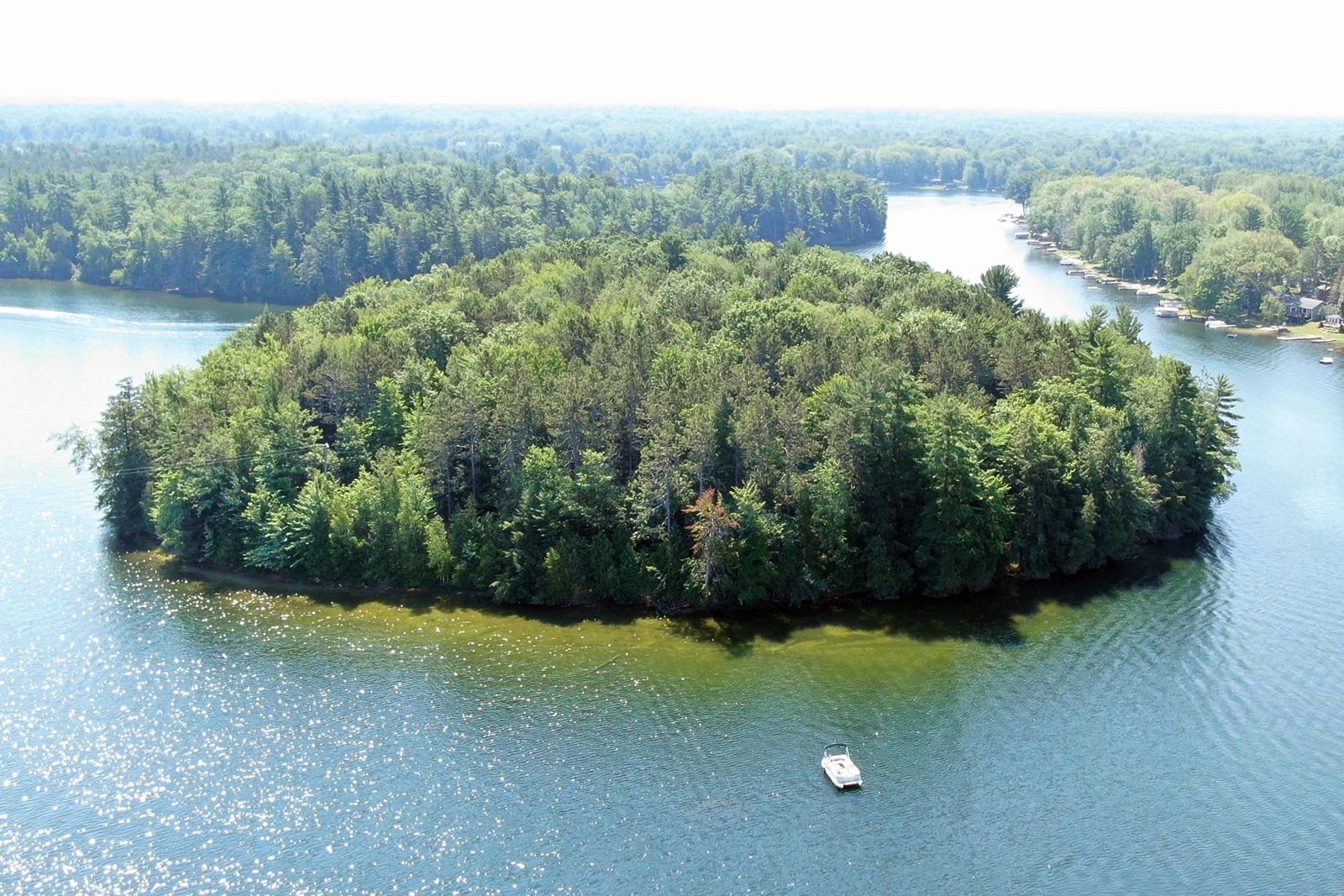 Private Island on School Section Lake – Private island in Michigan, United States