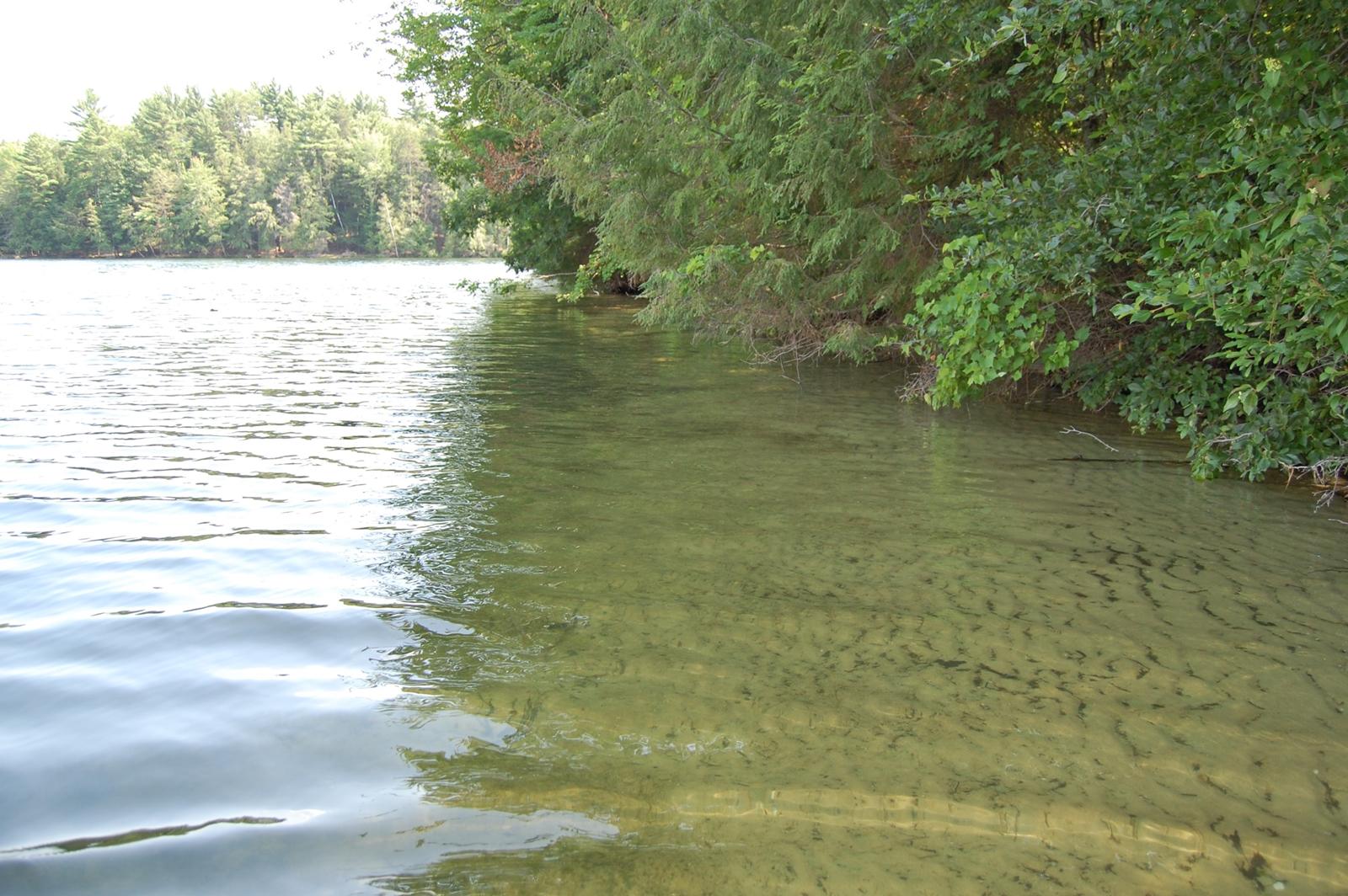 Private Island on School Section Lake – Private island in Michigan, United States