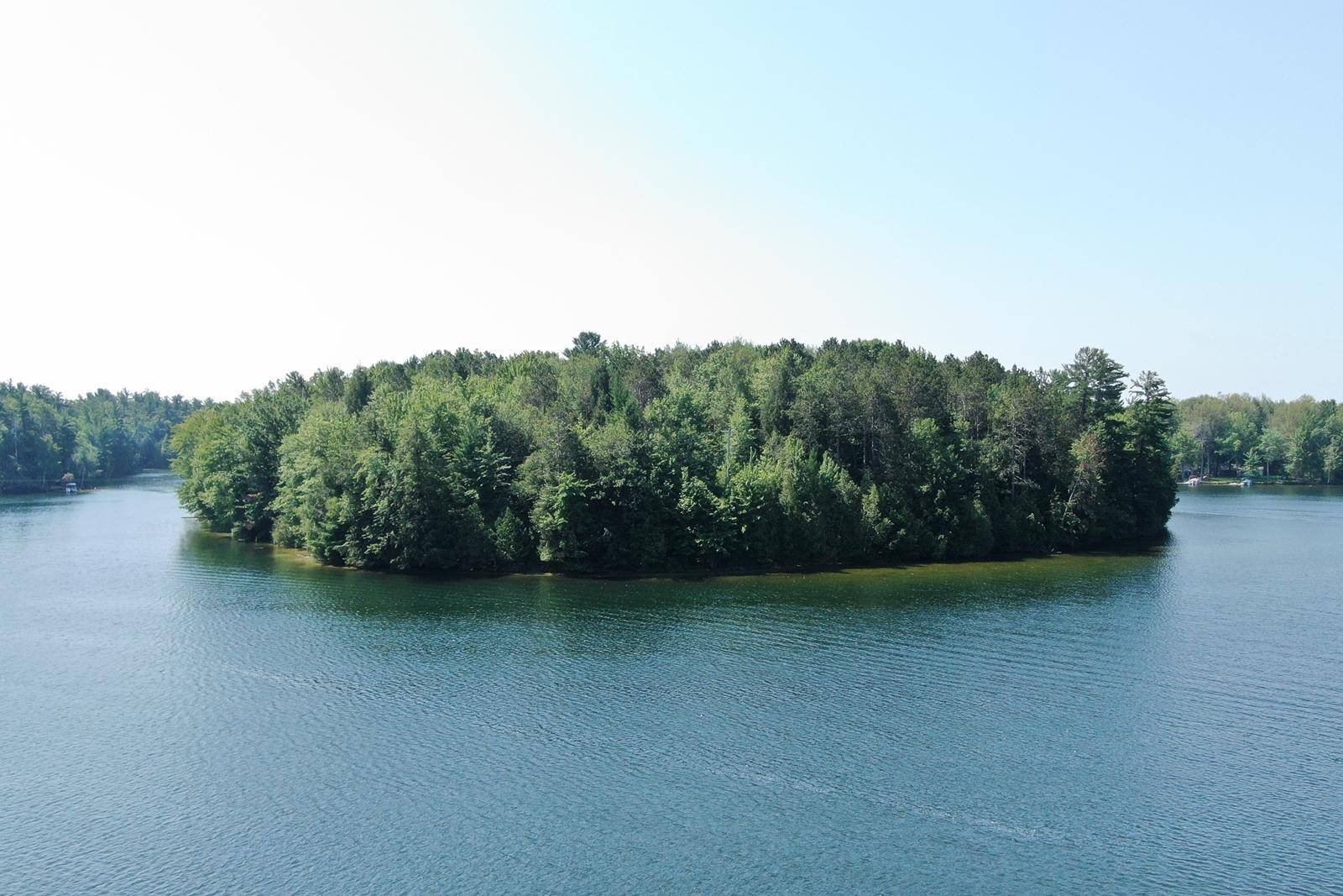 Private Island on School Section Lake – Private island in Michigan, United States