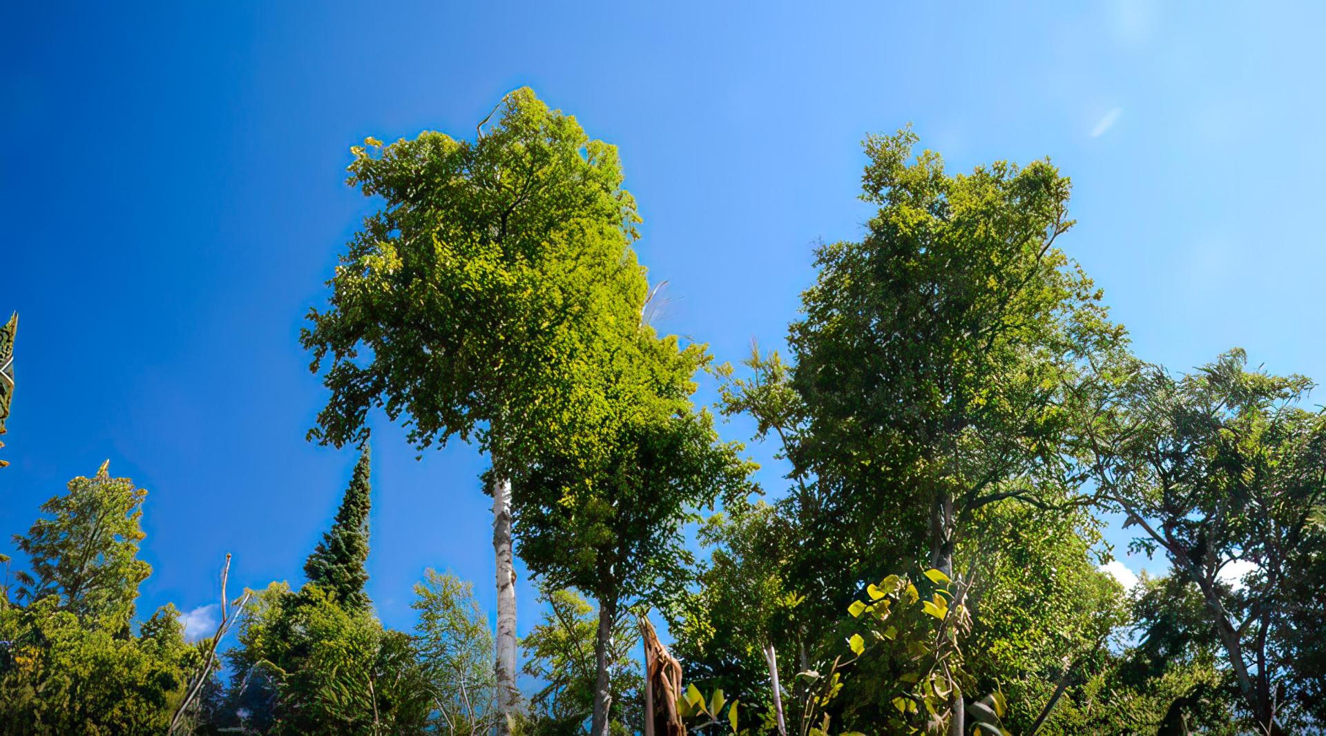 Naomi Island – Private island in Ontario, Canada