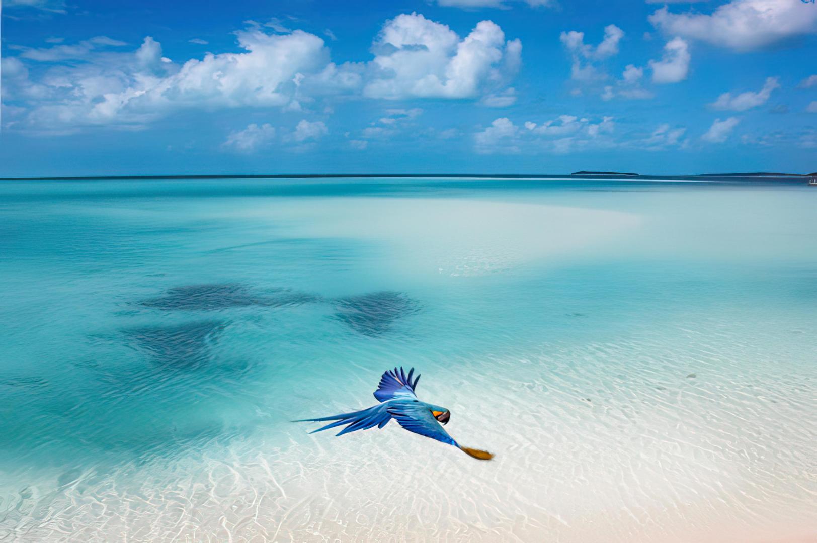 Musha Cay – Private island in Bahamas, Caribbean