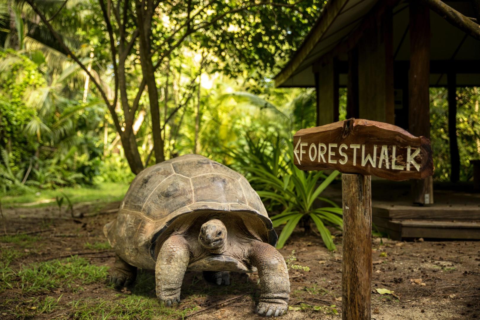 Denis Island – Private island in Seychelles, Africa
