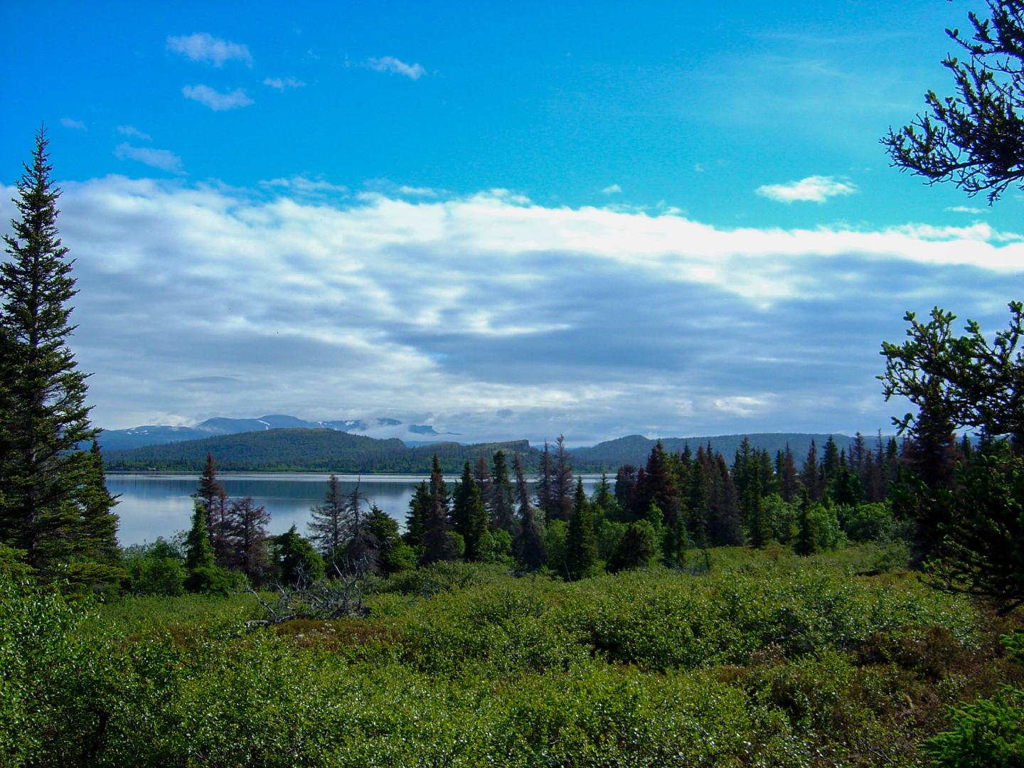 Trophy Island – Private island in Alaska, United States