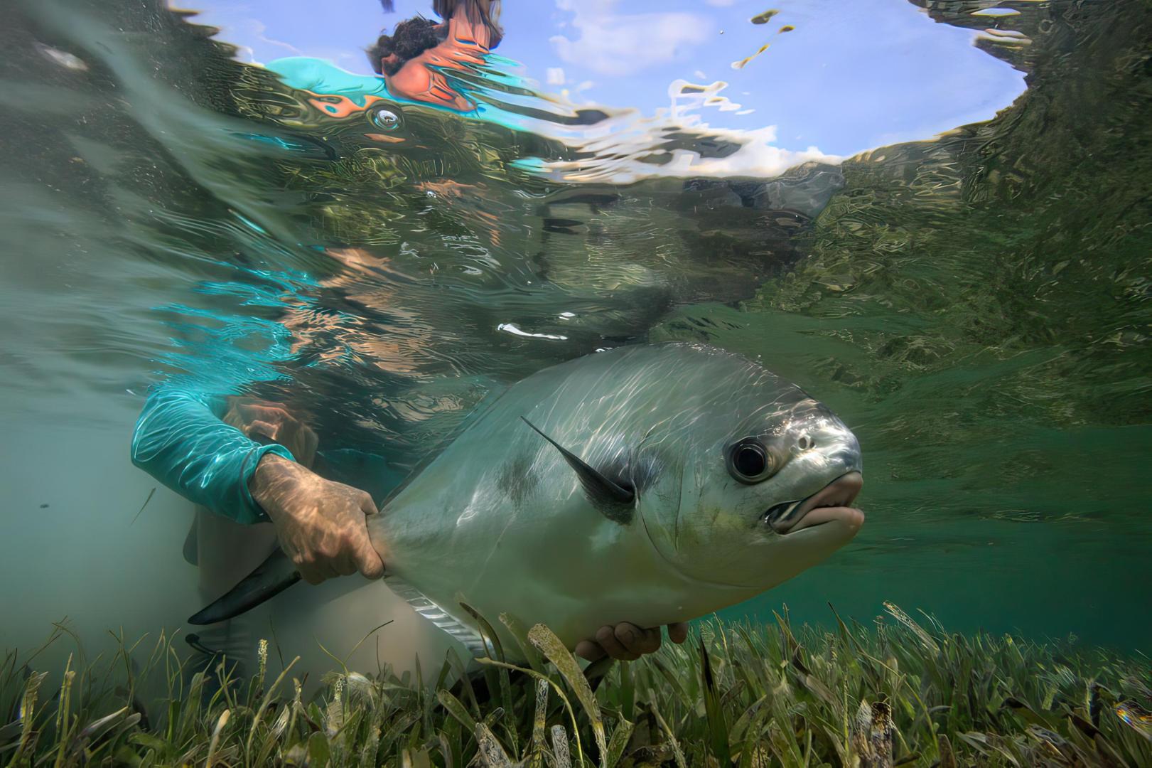 Fly Fishing Guanaja – Private island in Honduras, Central America