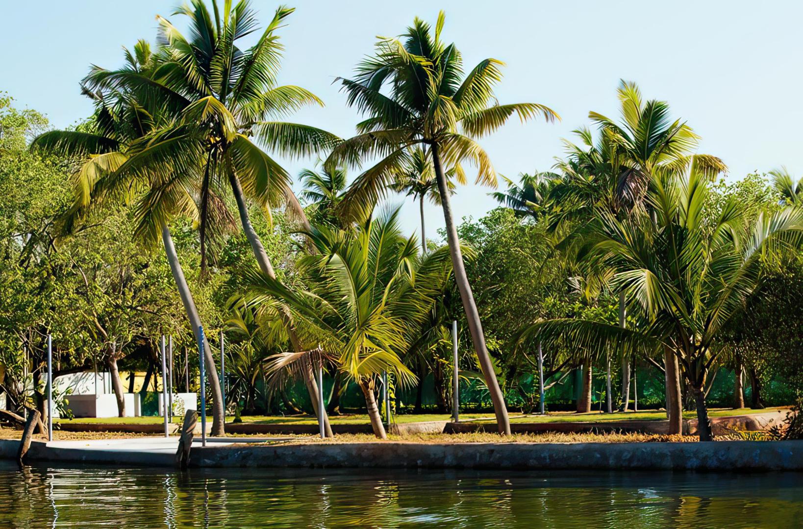Vinis Farm – Private island in India, Asia & Middle East