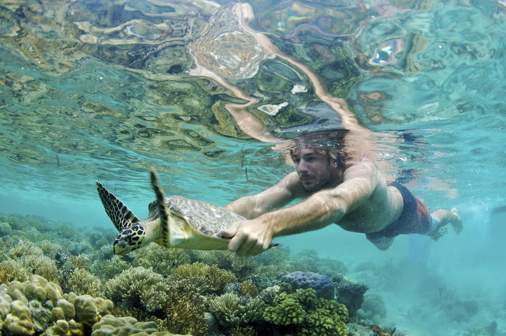 Papatura Island Retreat – Private island in Solomon Islands, South Pacific