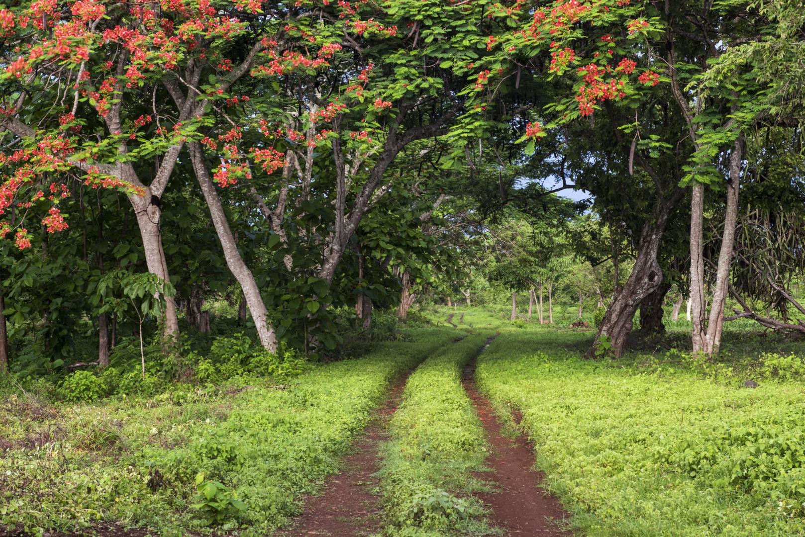 Punta Loros – Private island in Costa Rica, Central America