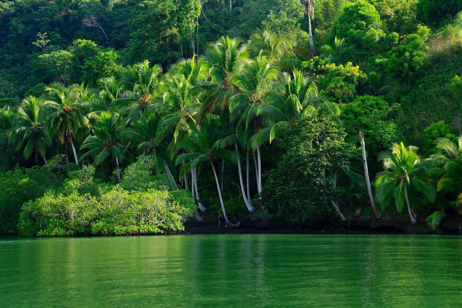 800-acre Golfito Bay Property – Private island in Costa Rica, Central America