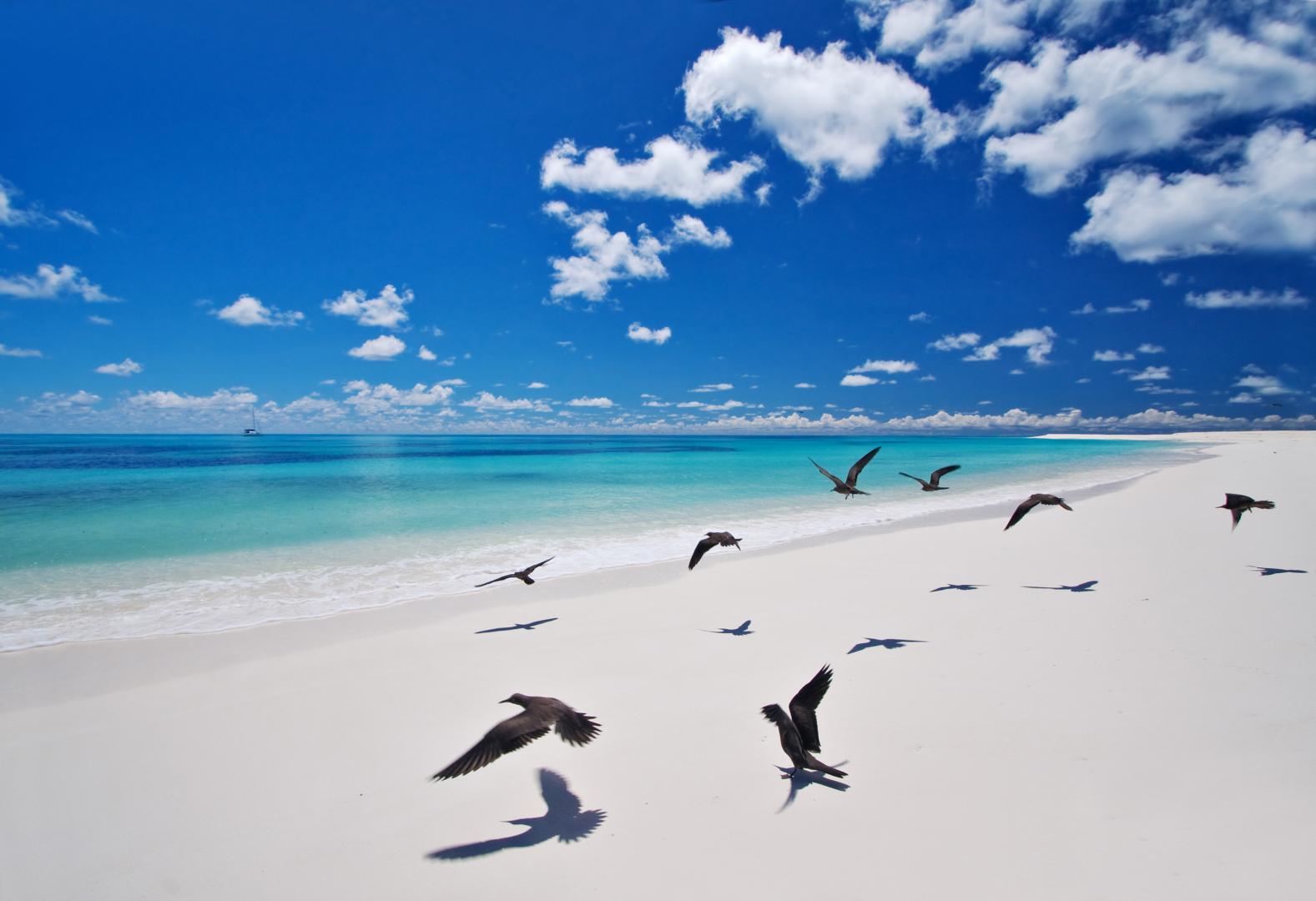 Bird Island – Private island in Seychelles, Africa