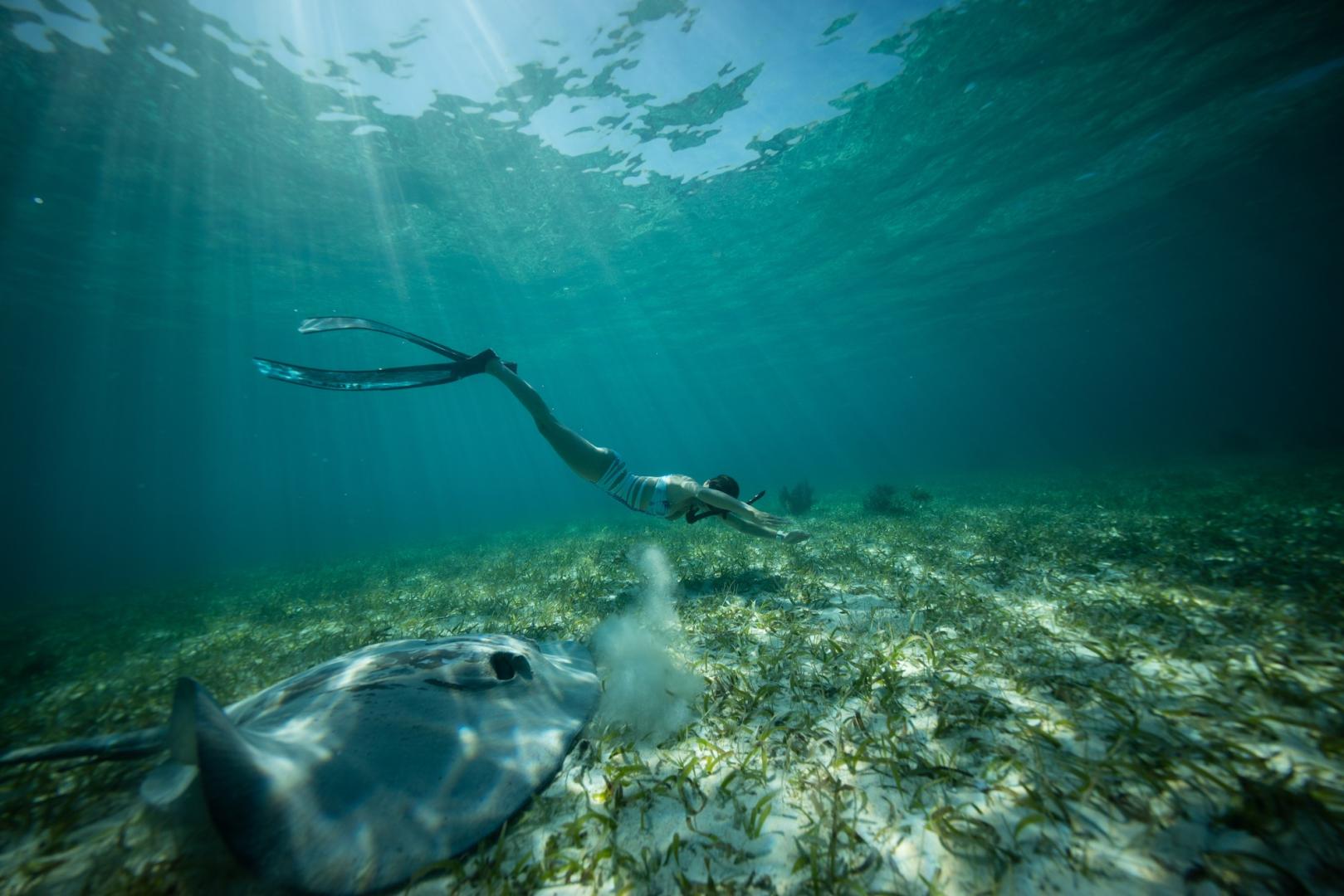 Ranguana Caye – Private island in Belize, Central America