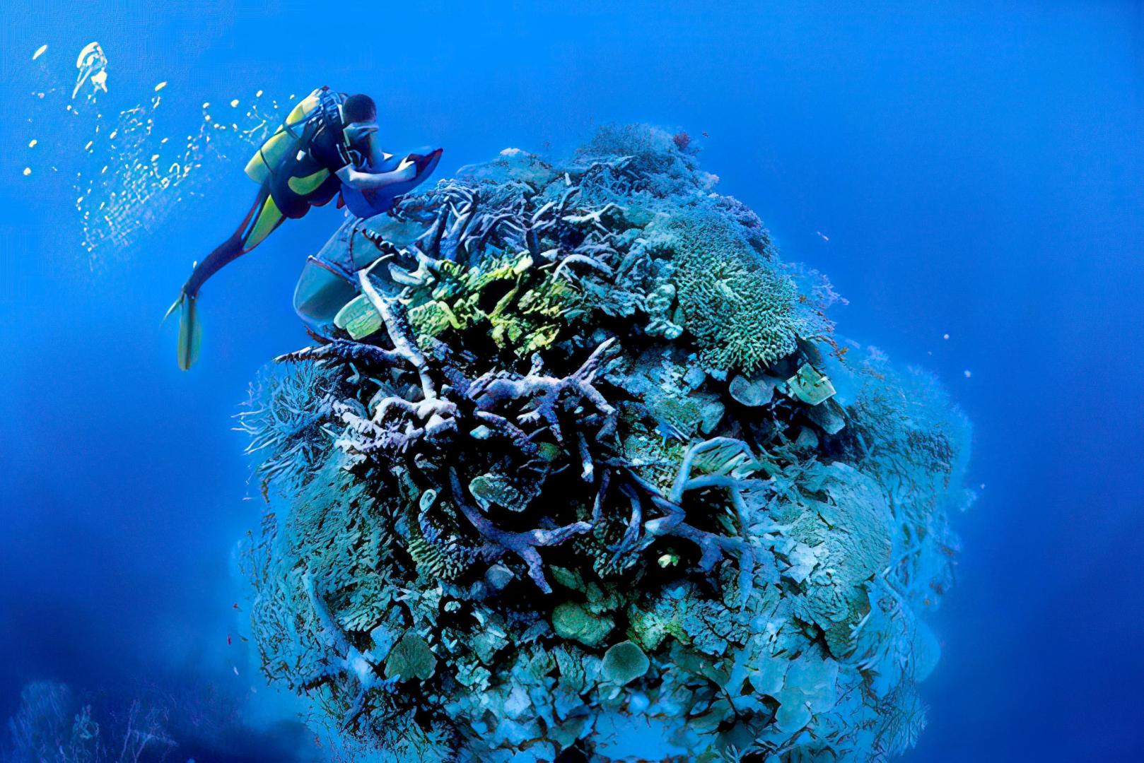 Nukubati Island and the Great Sea Reef – Private island in Fiji, South Pacific