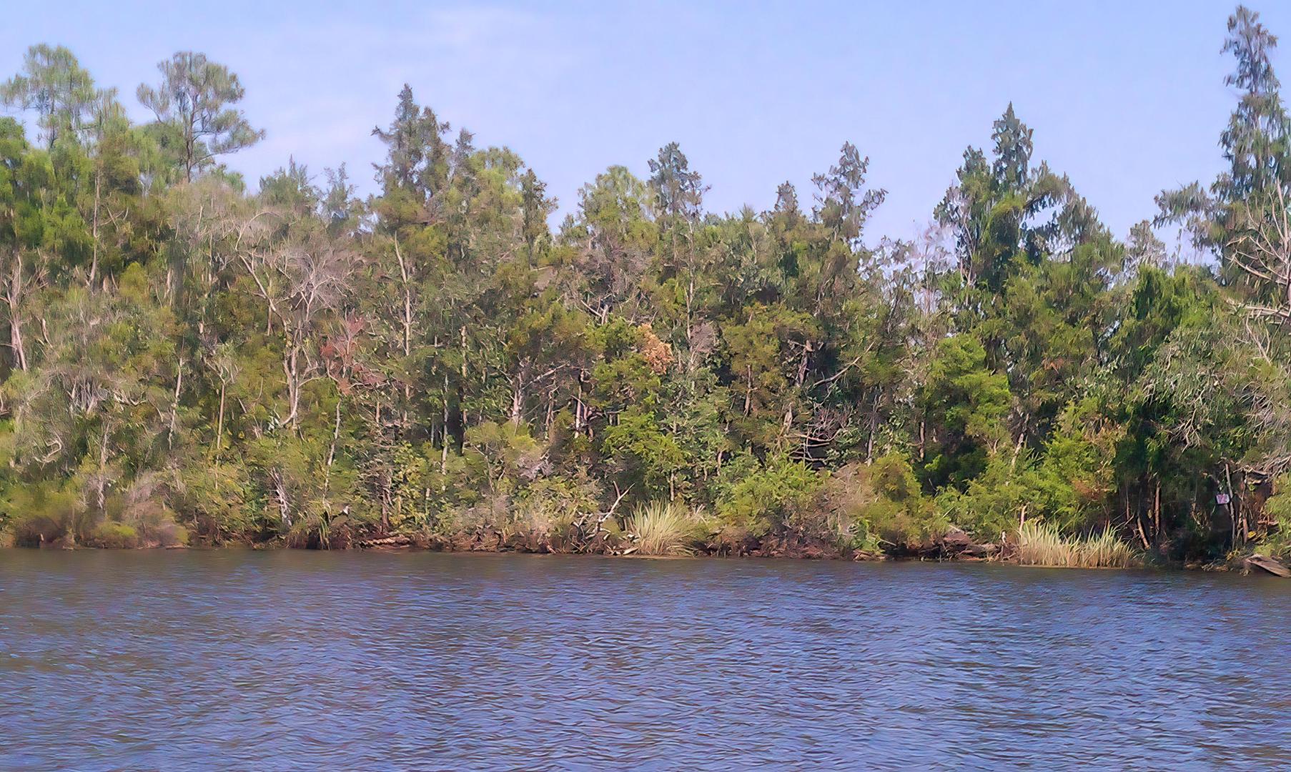Breath of Life Sanctuary – Private island in Florida, United States