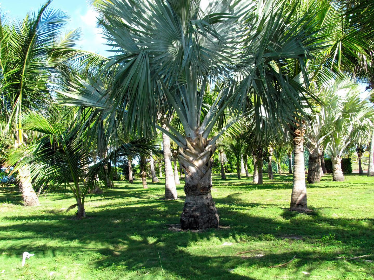 Gun Point – Private island in Eleuthera, Bahamas, Caribbean