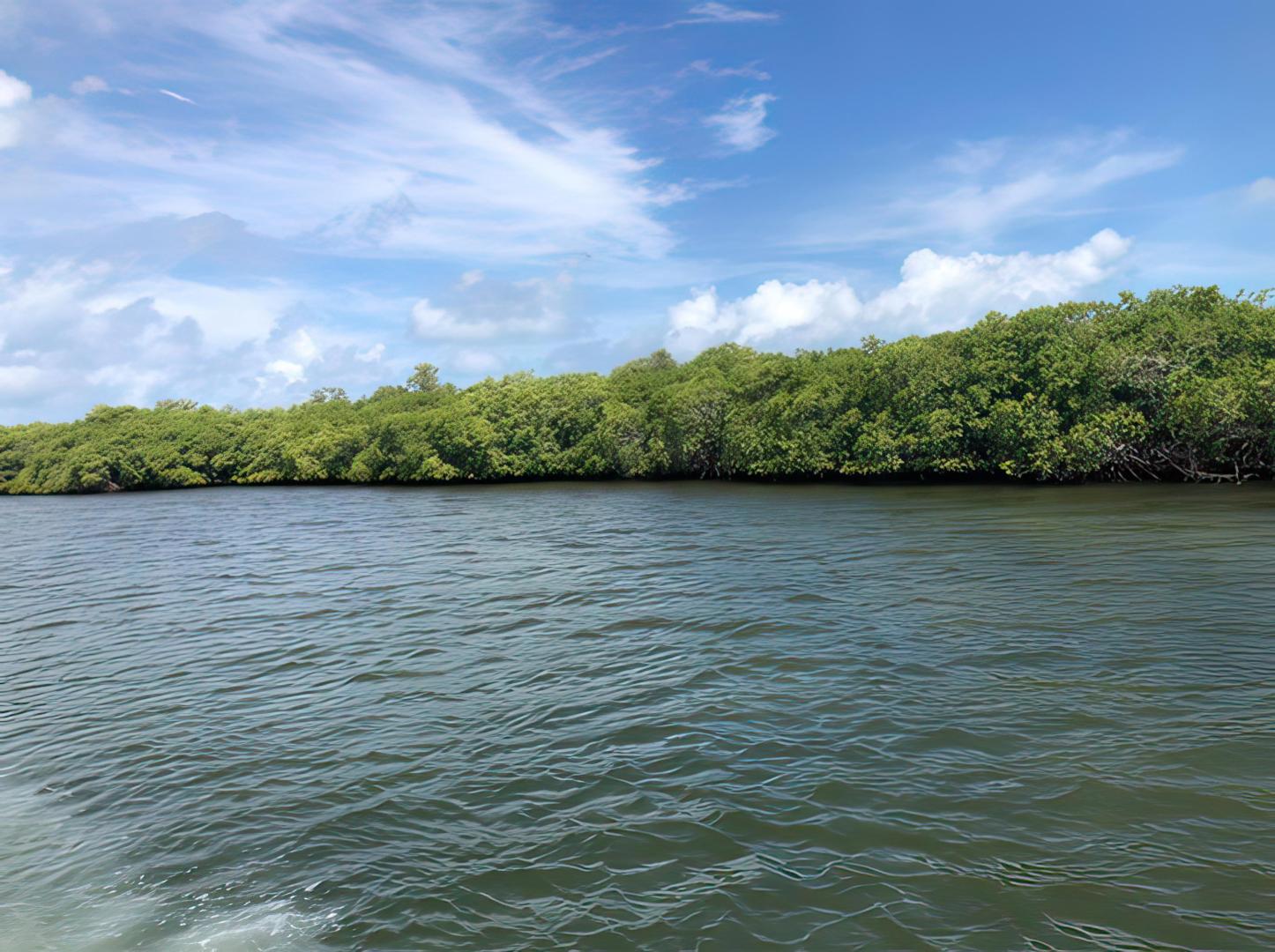 10 acres on Middle Long Caye – Private island in Belize, Central America
