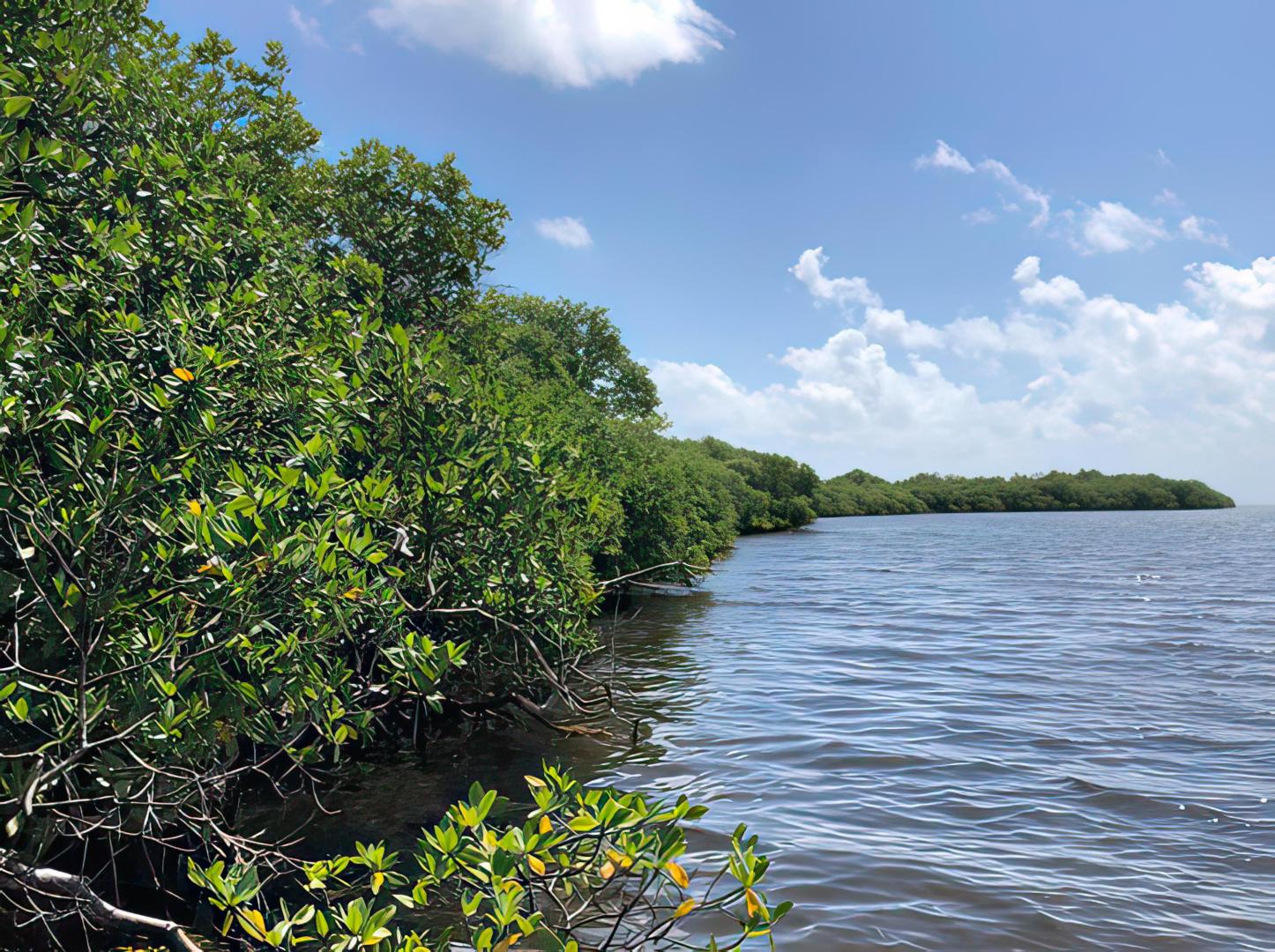 10 acres on Middle Long Caye – Private island in Belize, Central America