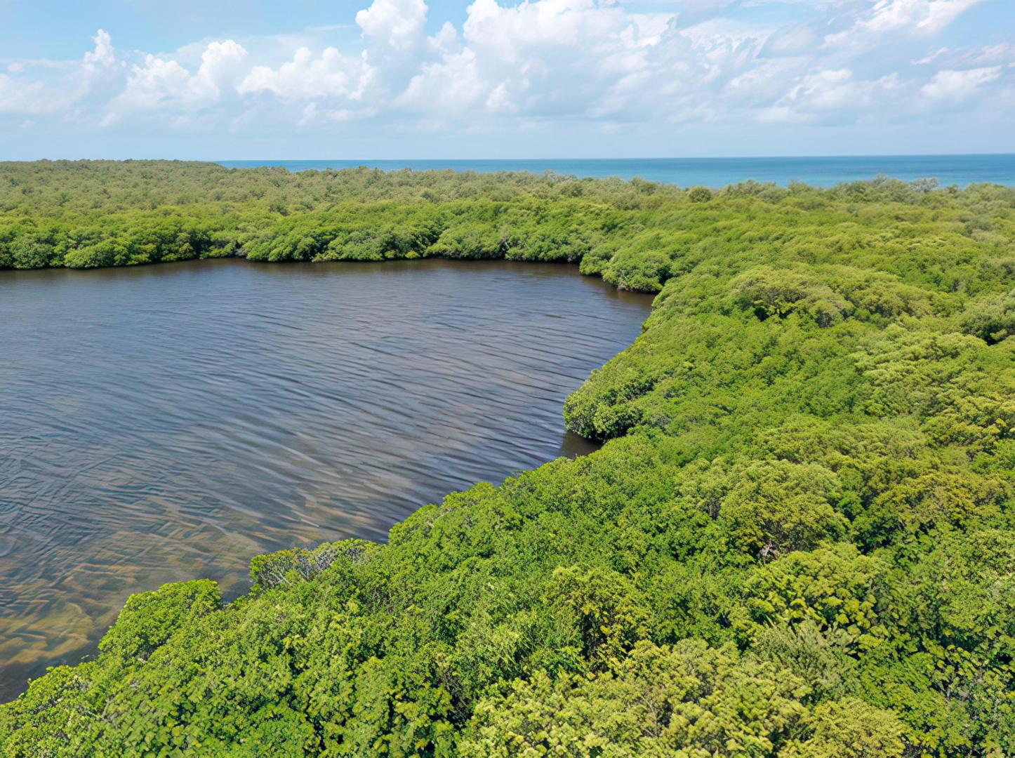 10 acres on Middle Long Caye – Private island in Belize, Central America
