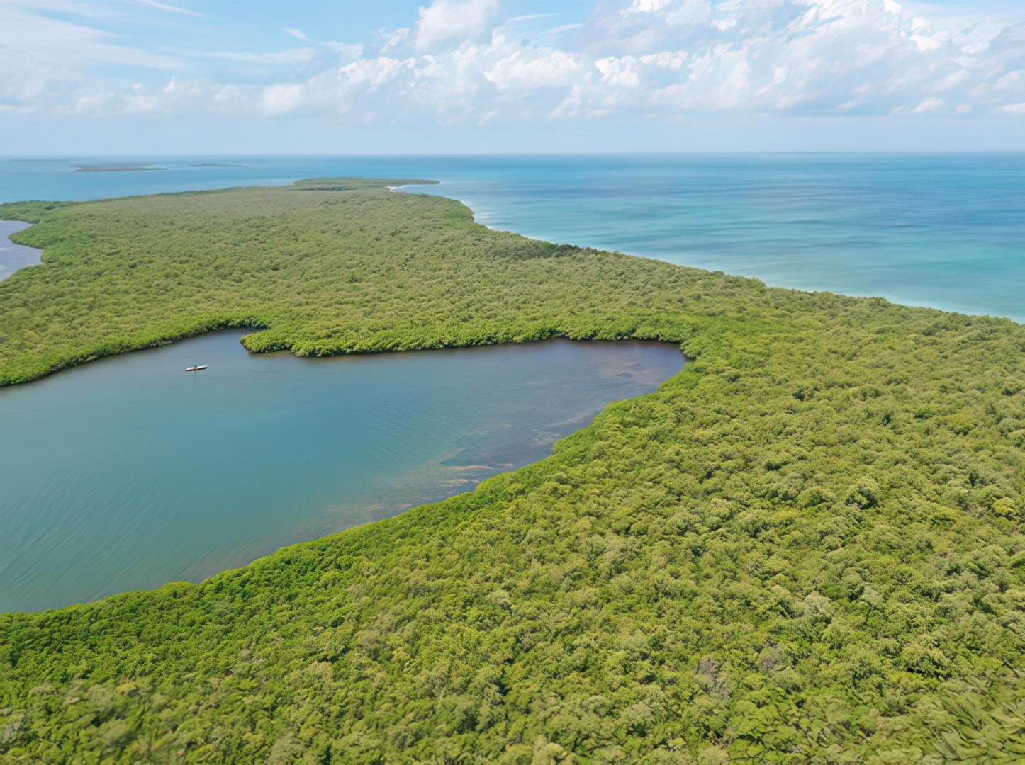 10 acres on Middle Long Caye – Private island in Belize, Central America