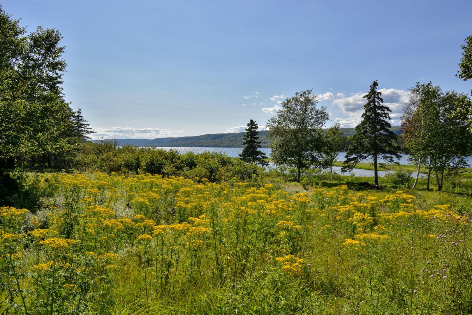 Cameron Island – Private island in Nova Scotia, Canada